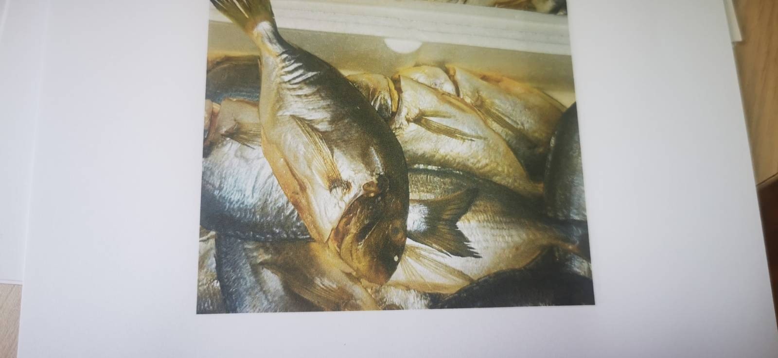 Delavska svetovalnica