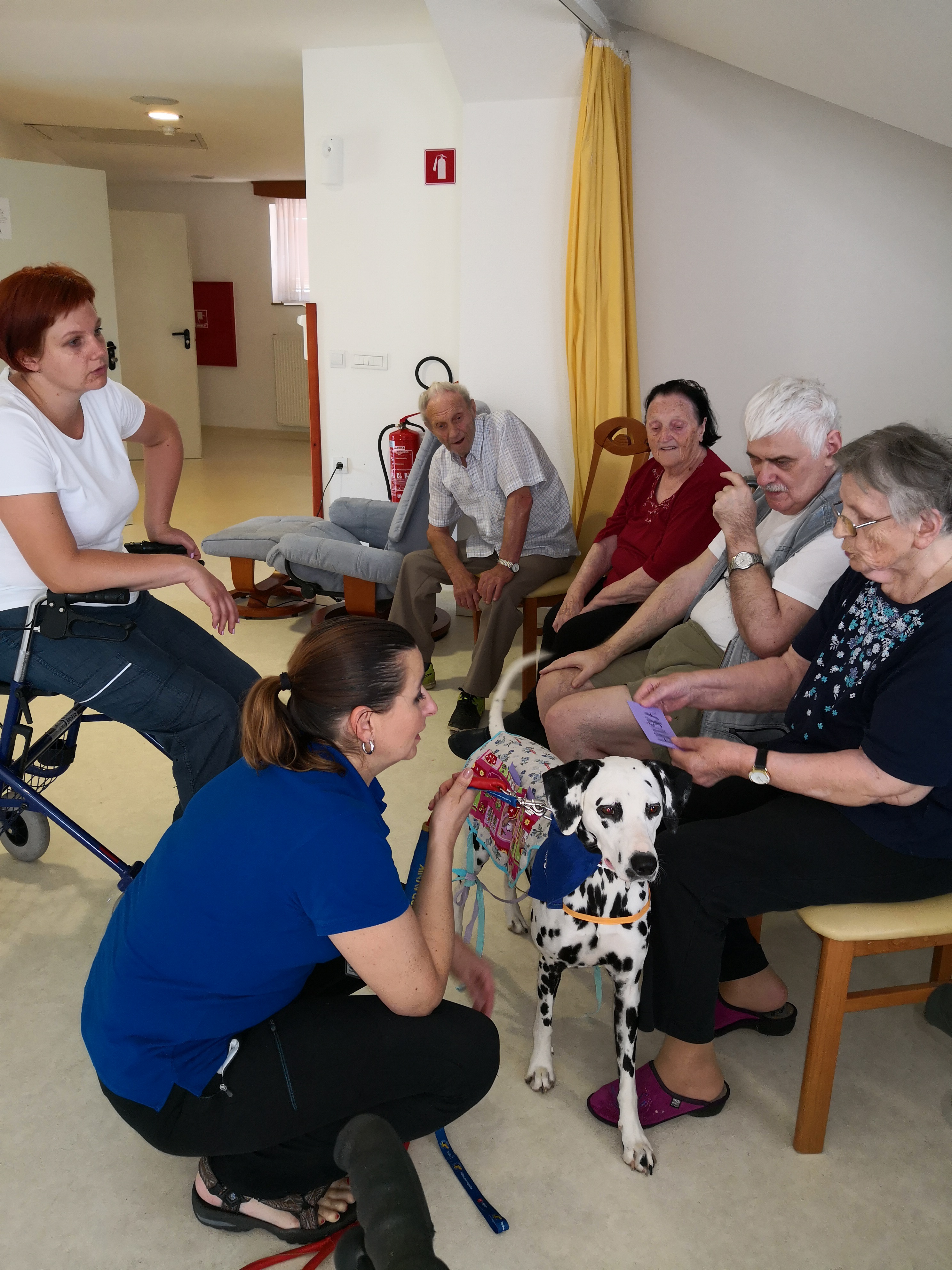 Arhiv Društva Tačke pomagačke