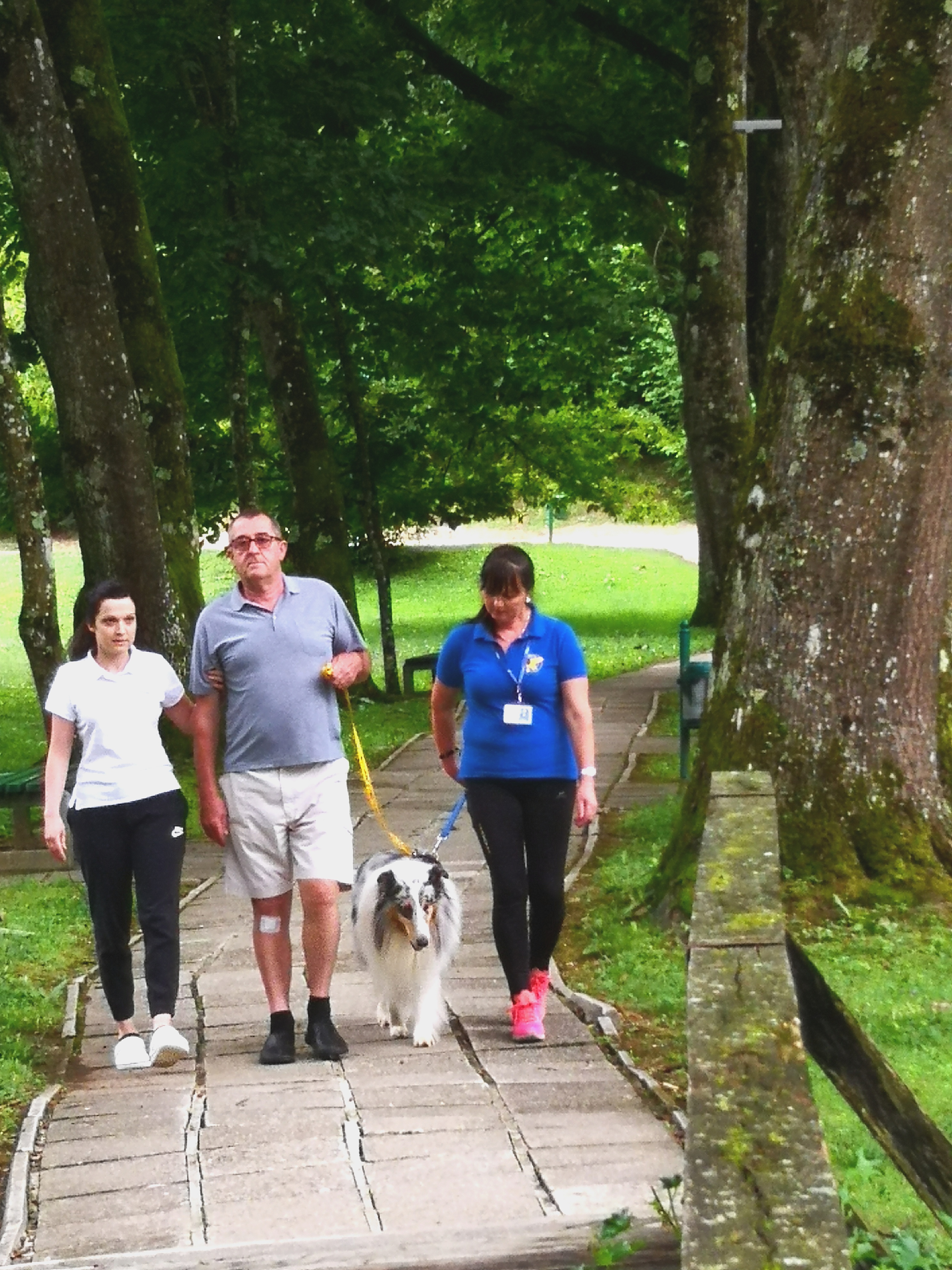 Arhiv Društva Tačke pomagačke