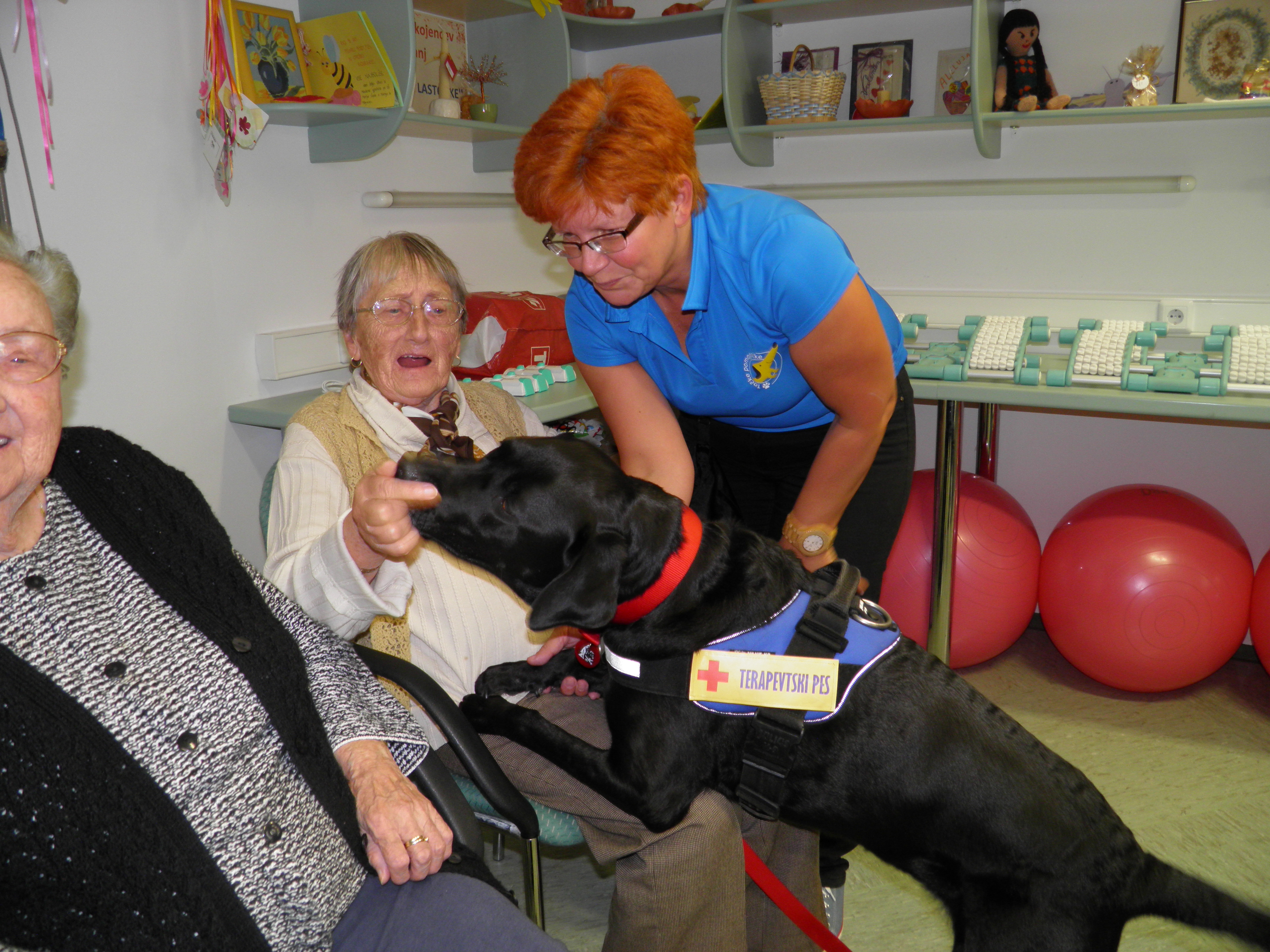 Arhiv Društva Tačke pomagačke