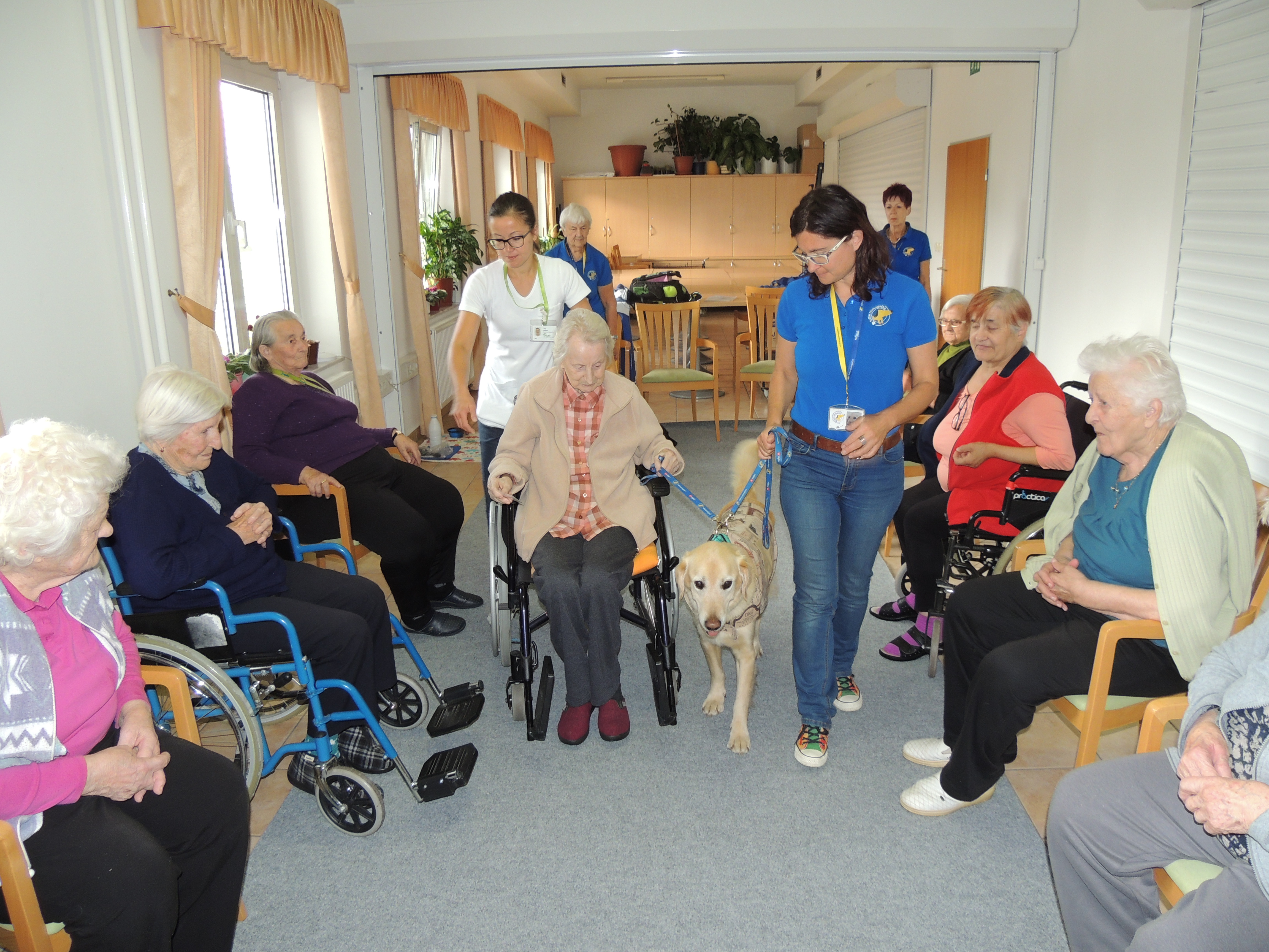 Arhiv Društva Tačke pomagačke