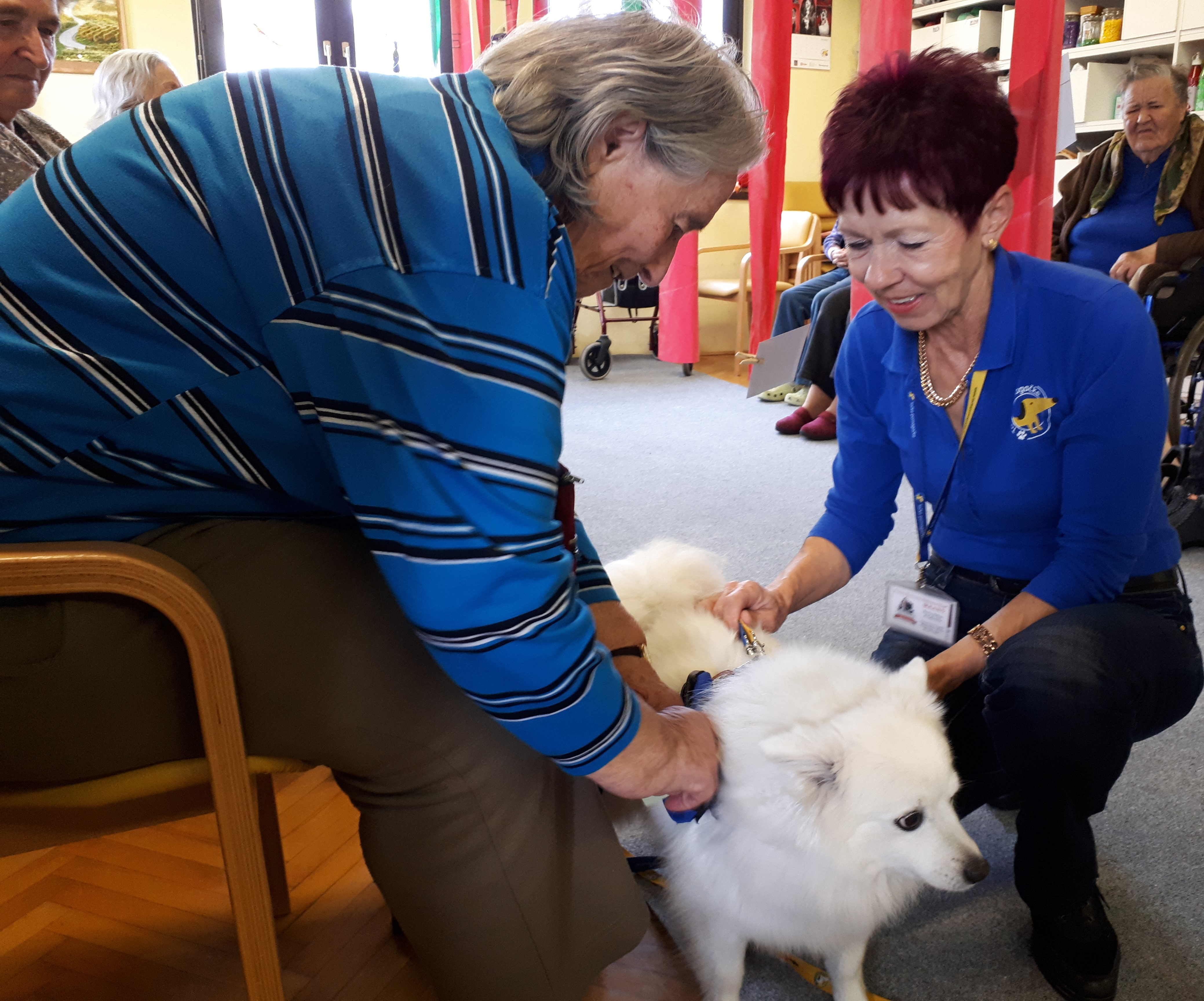 DSO Bokalce, Arhiv Društva Tačke pomagačke