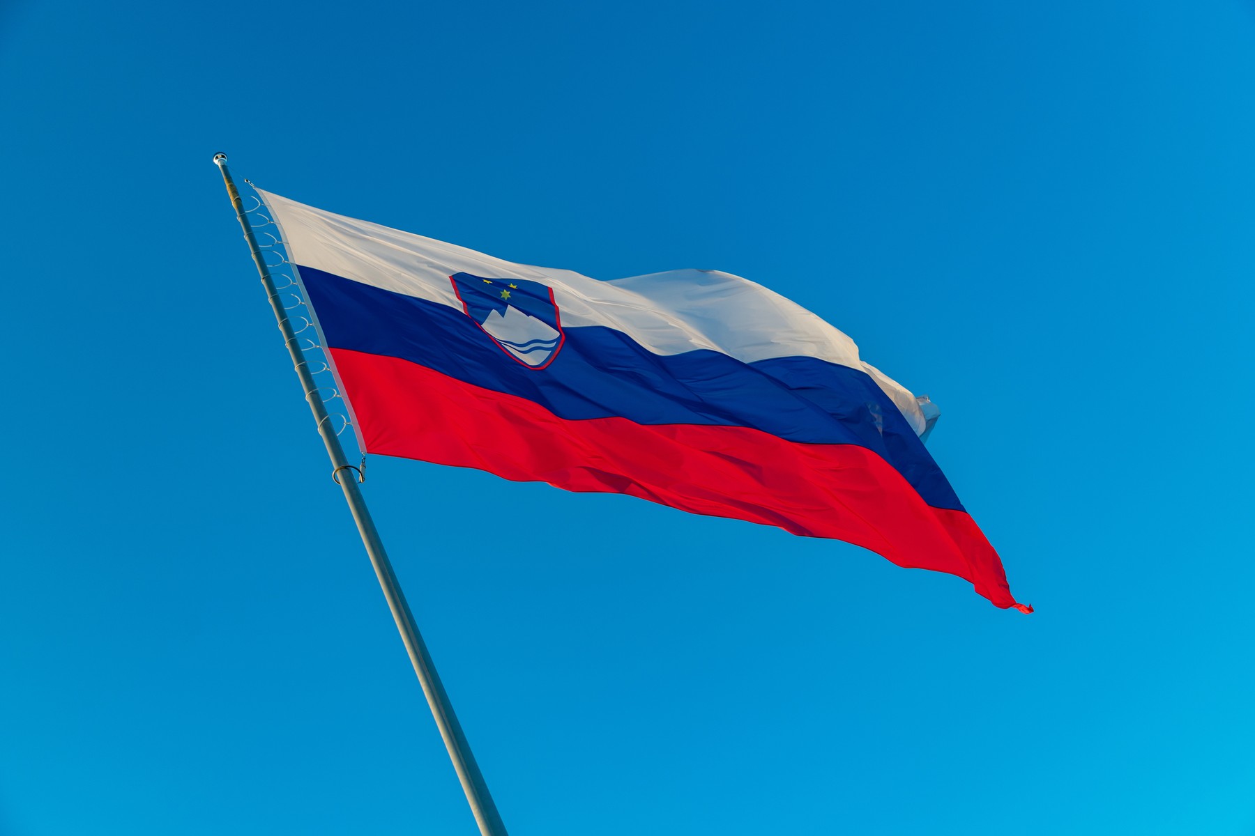 Slovenian Flag