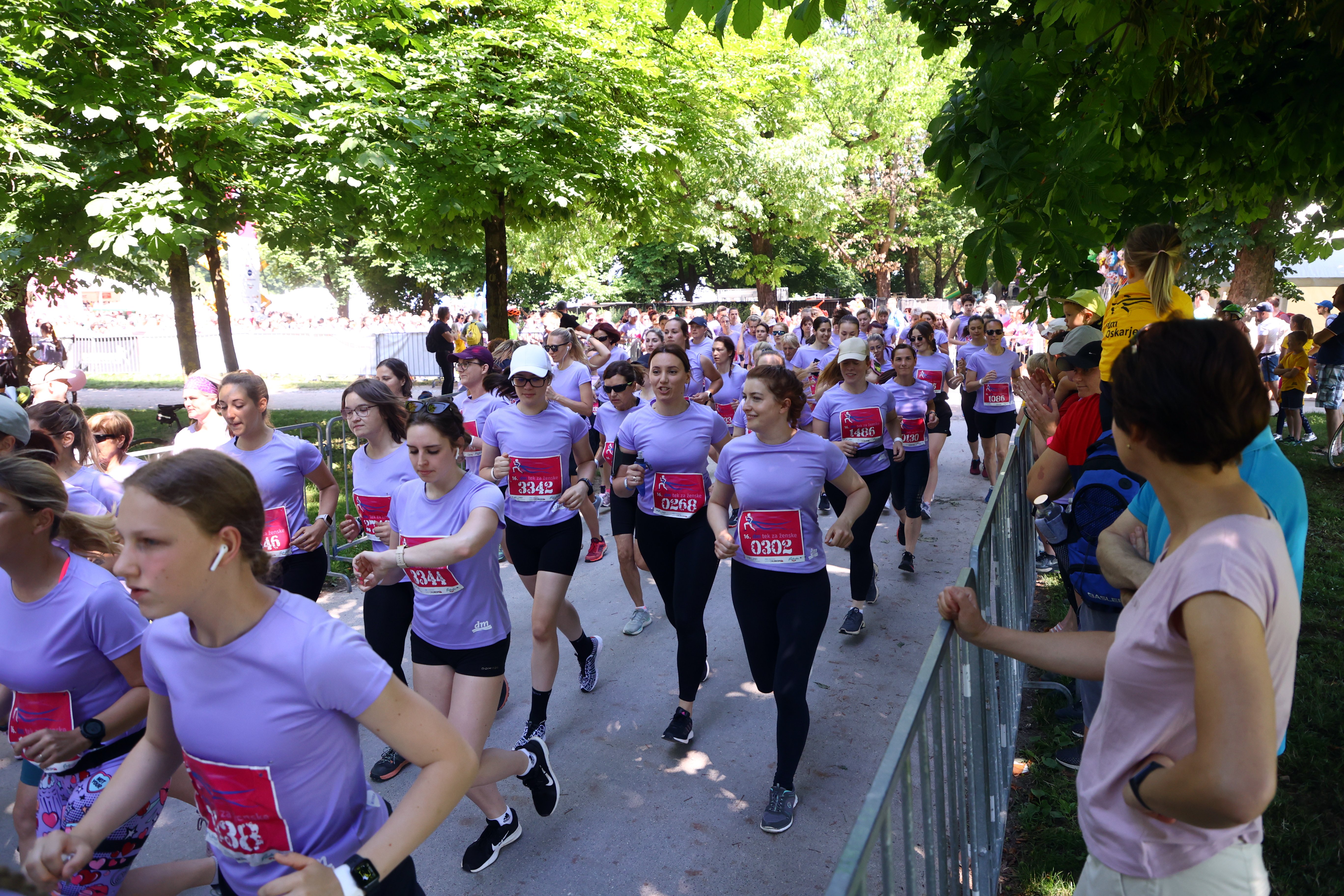 Borut Živulovič/BOBO