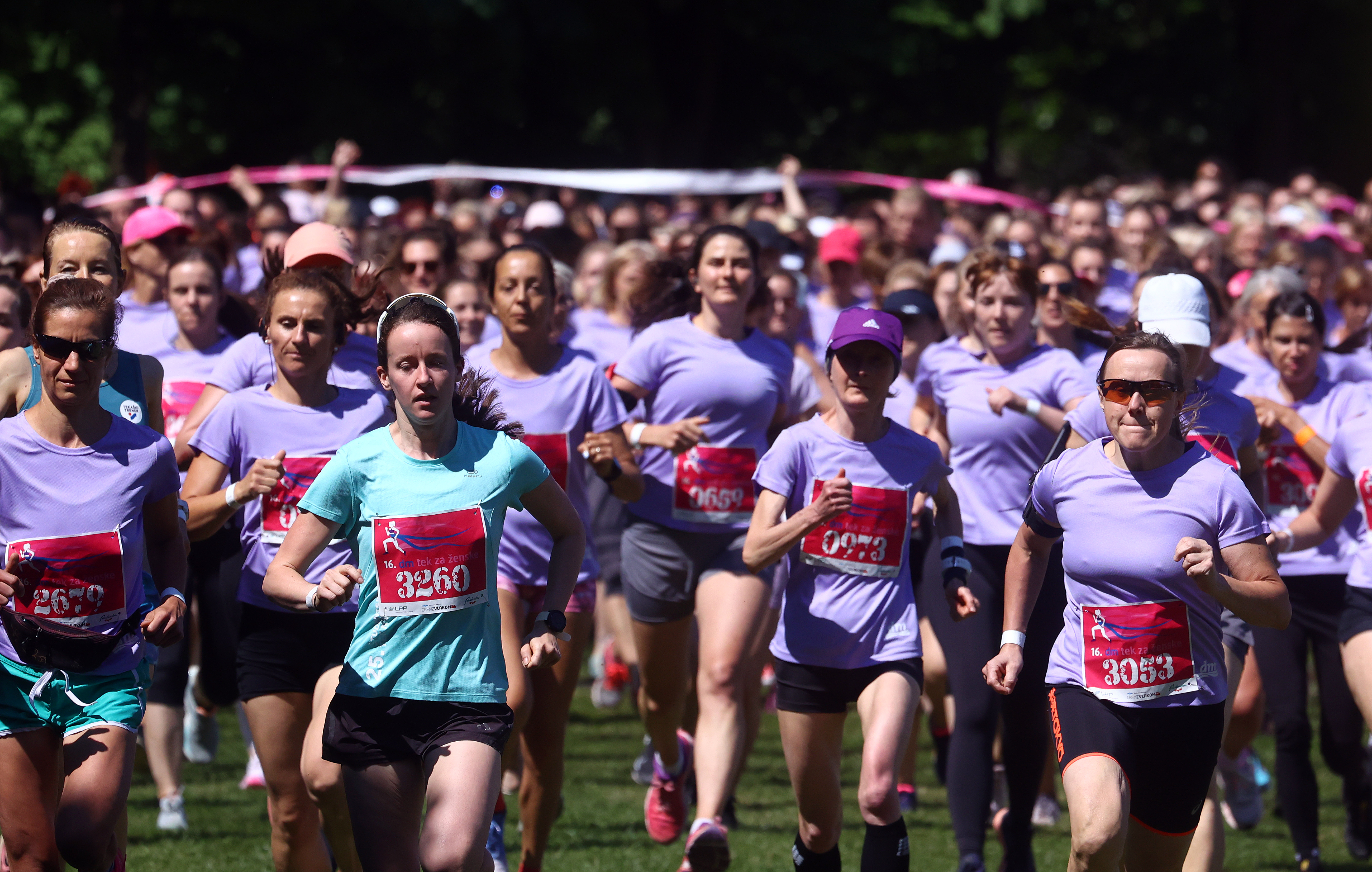 Borut Živulovič/BOBO