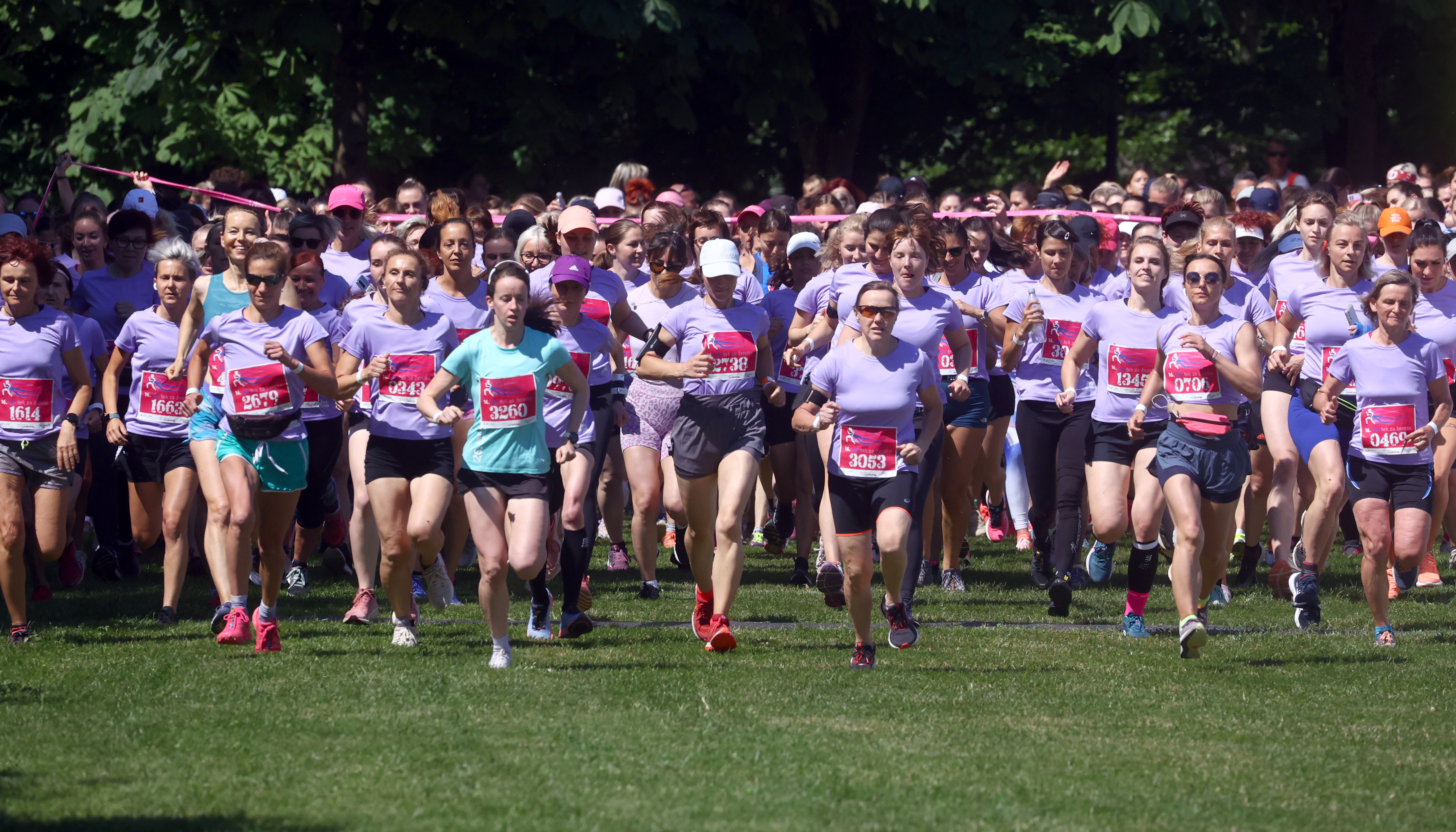 Borut Živulovič/BOBO