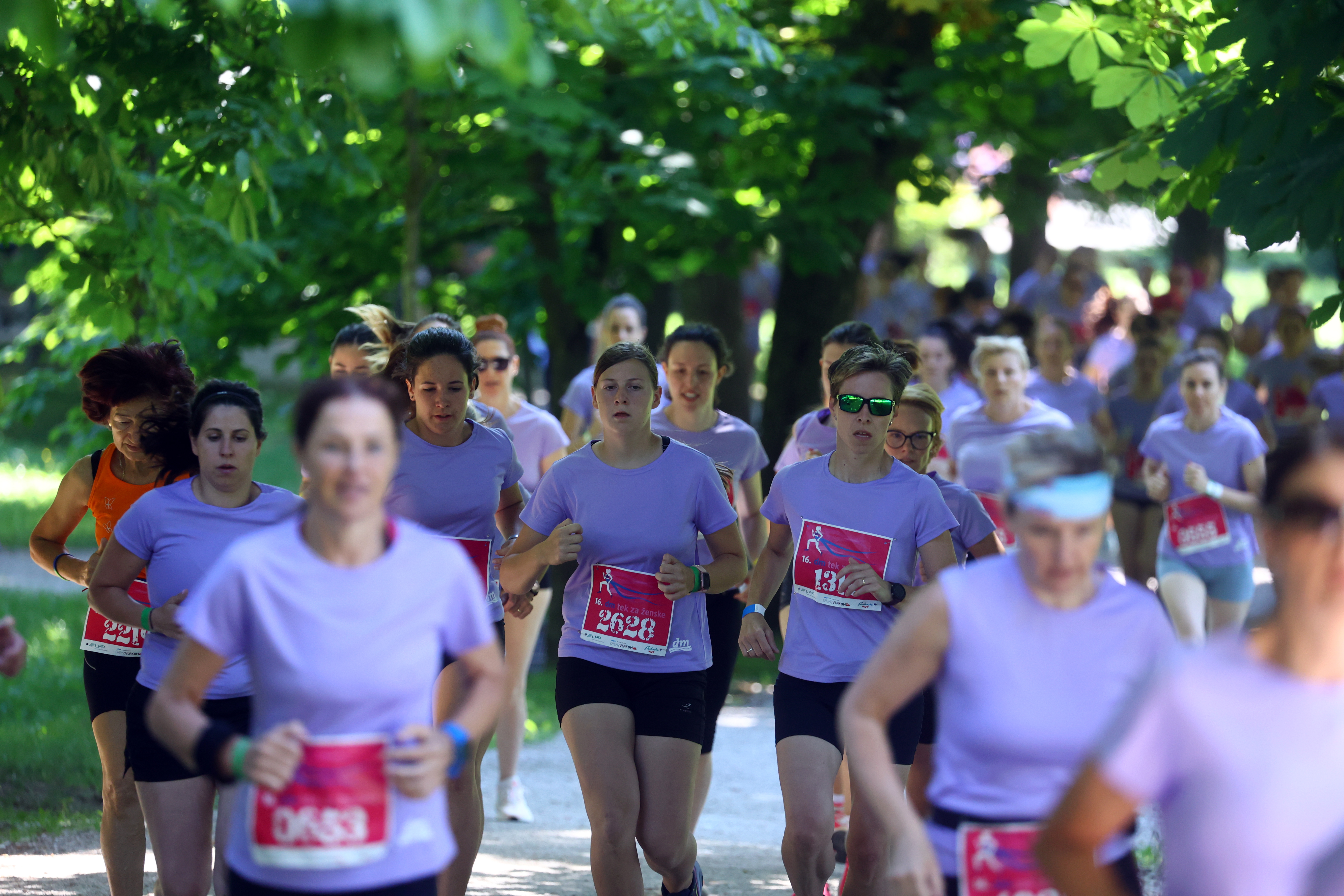 Borut Živulovič/BOBO