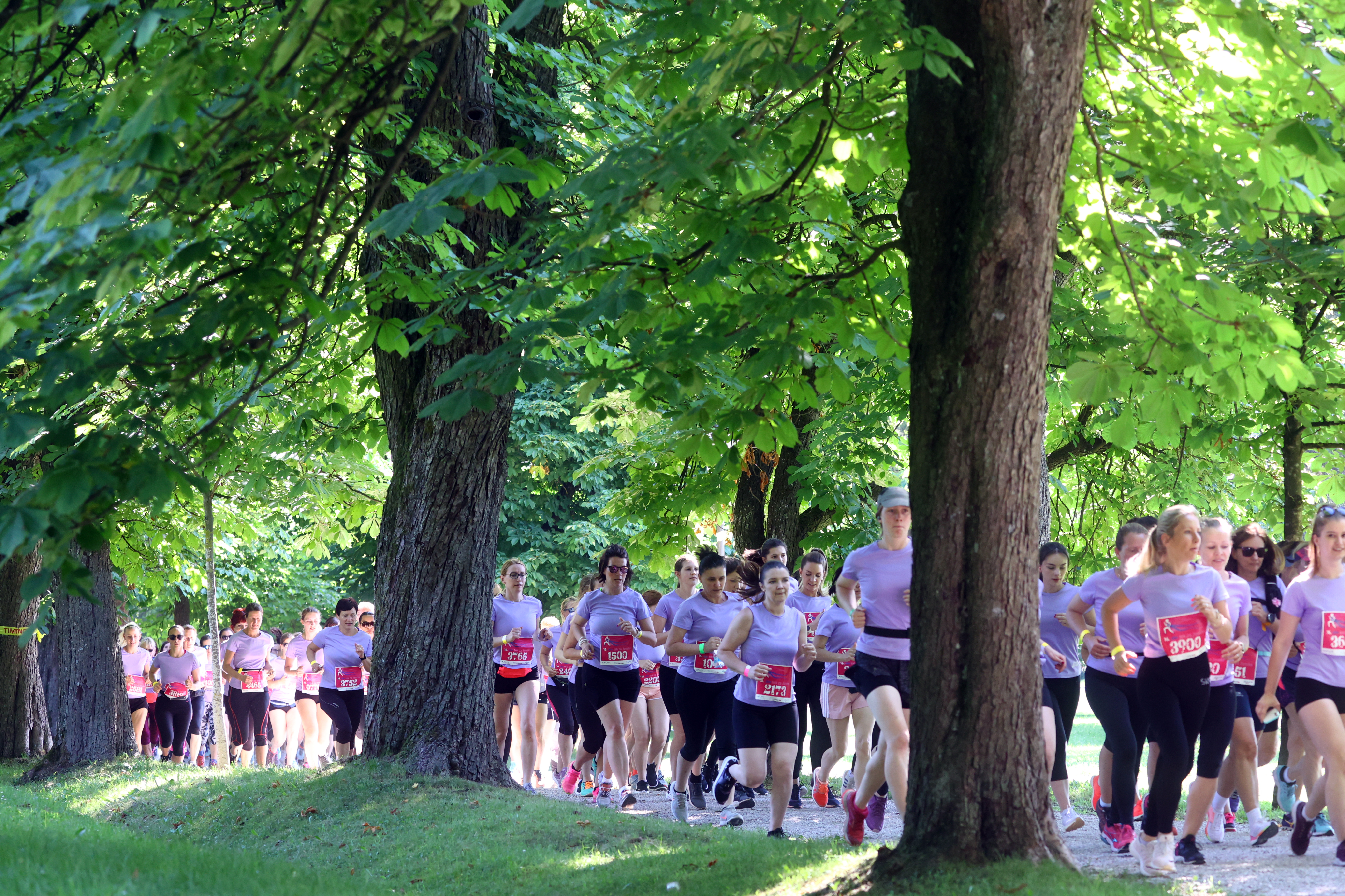 Borut Živulovič/BOBO
