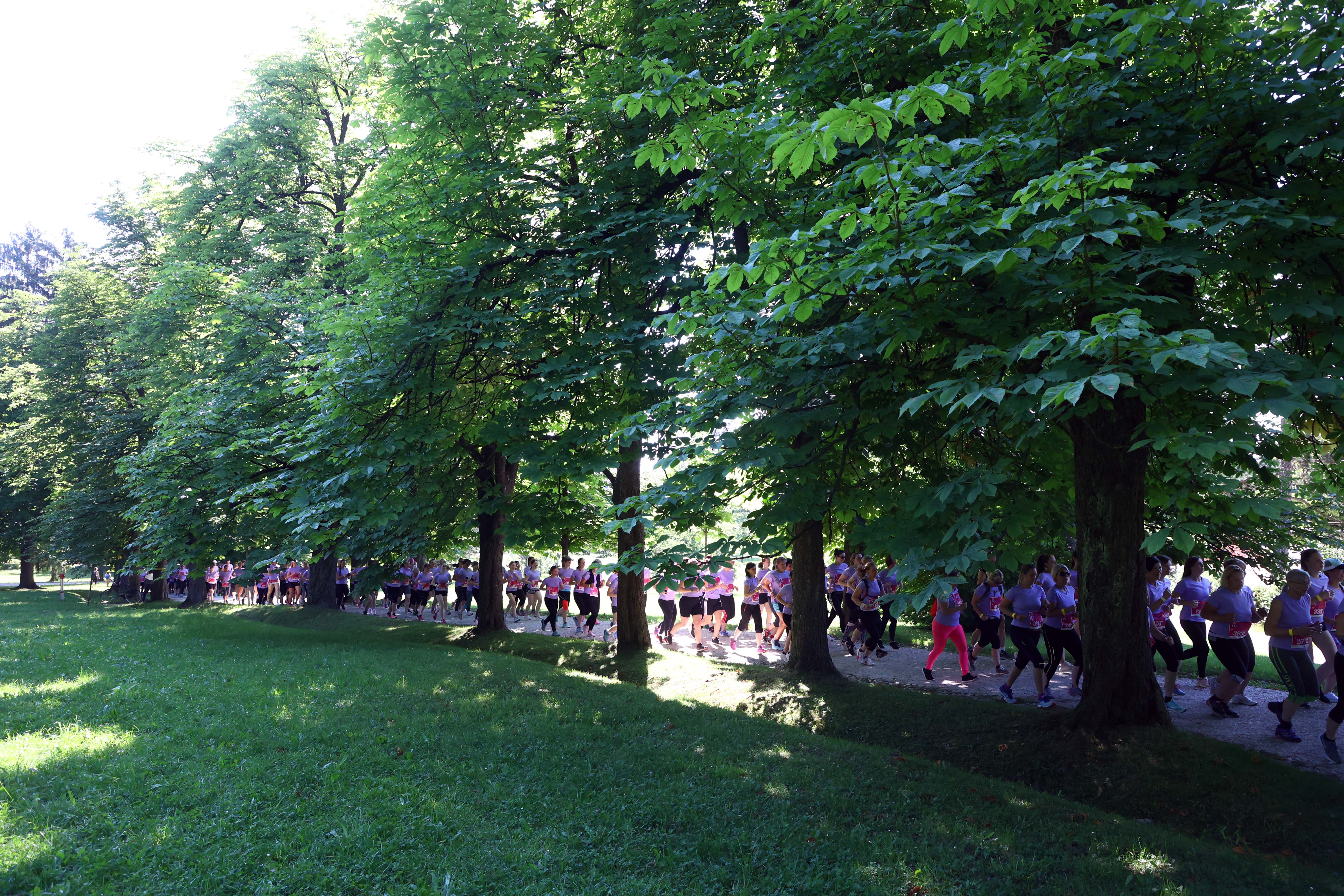 Borut Živulovič/BOBO