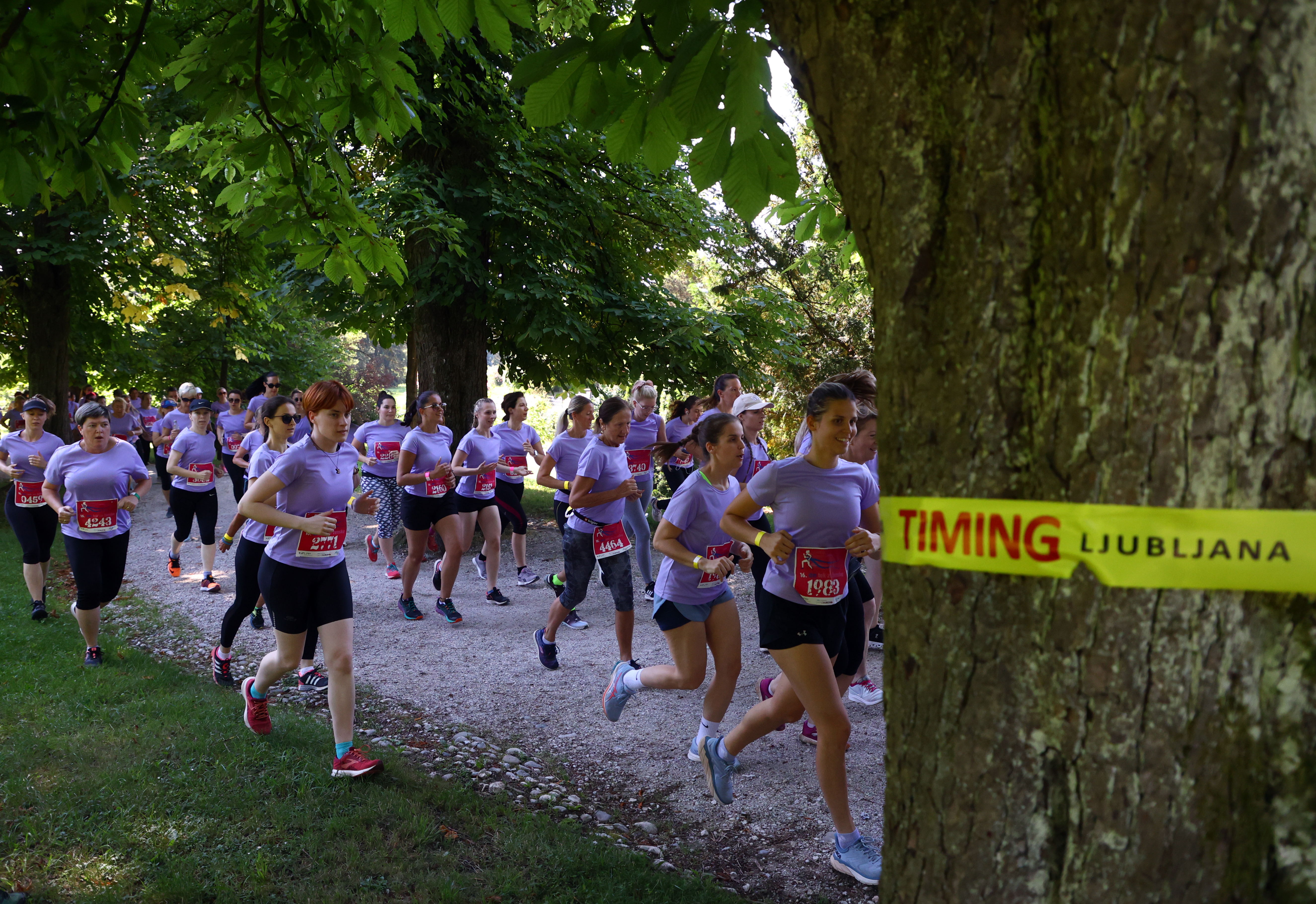 Borut Živulovič/BOBO