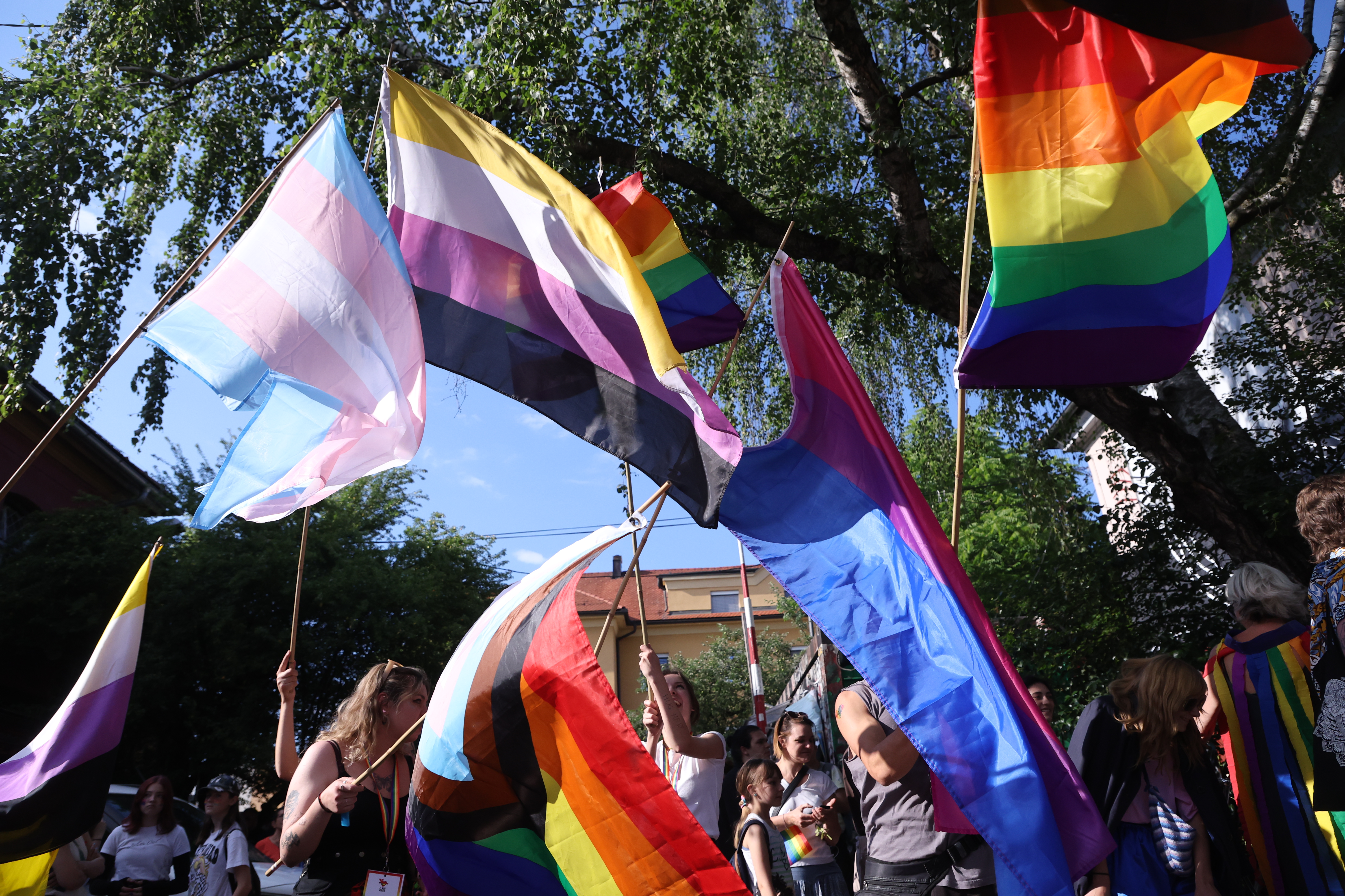 Borut Živulovič/BOBO