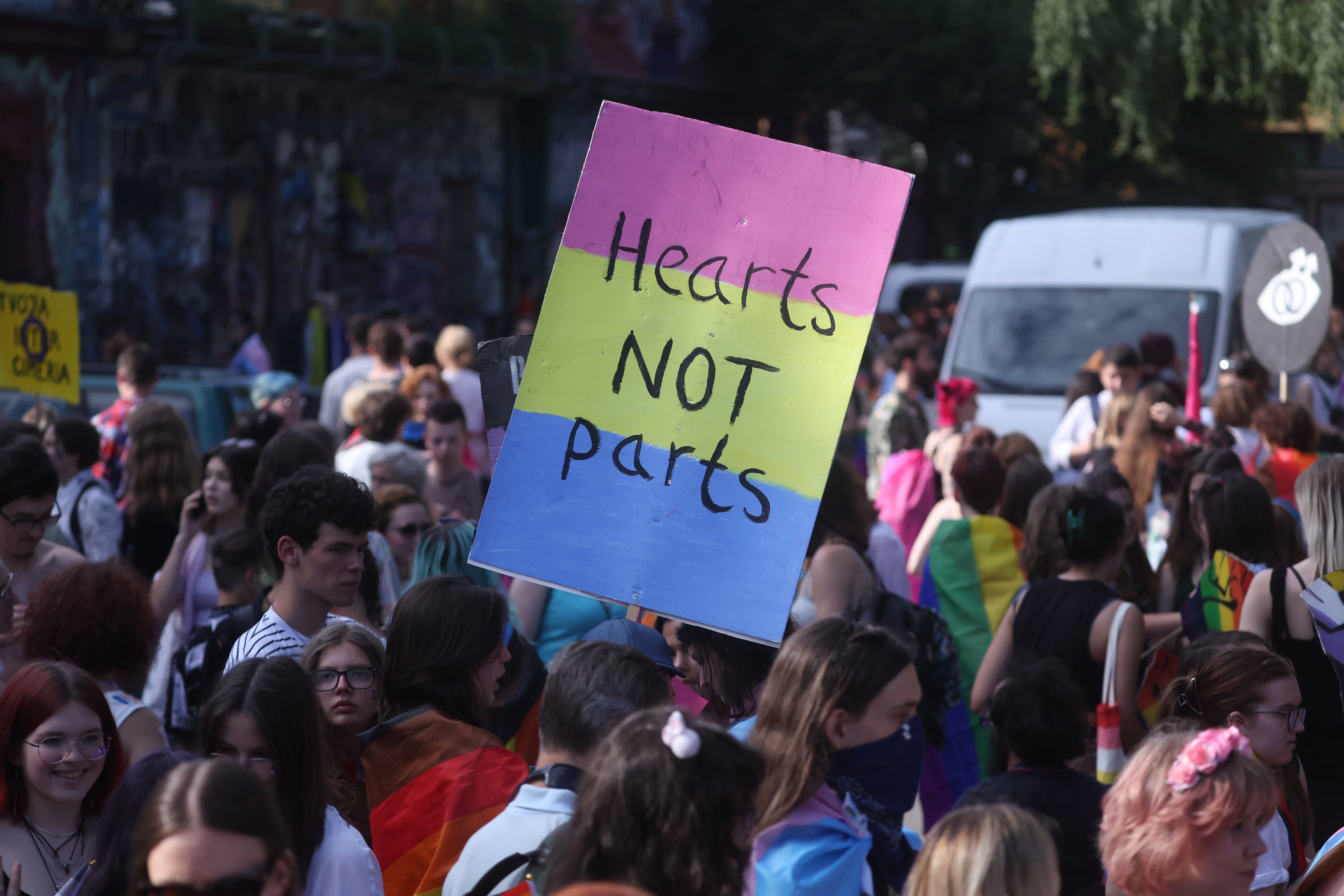 Borut Živulovič/BOBO