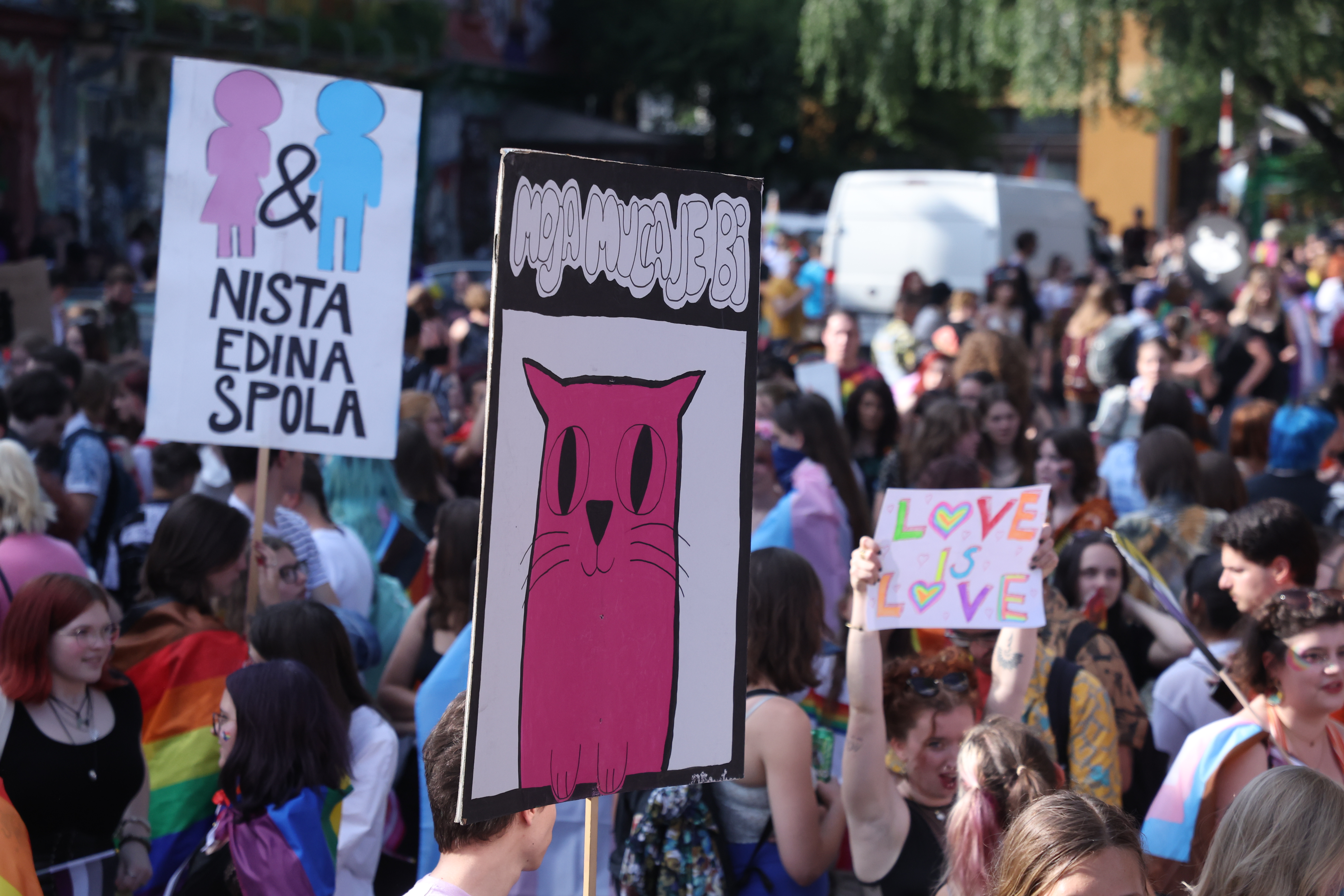 Borut Živulovič/BOBO