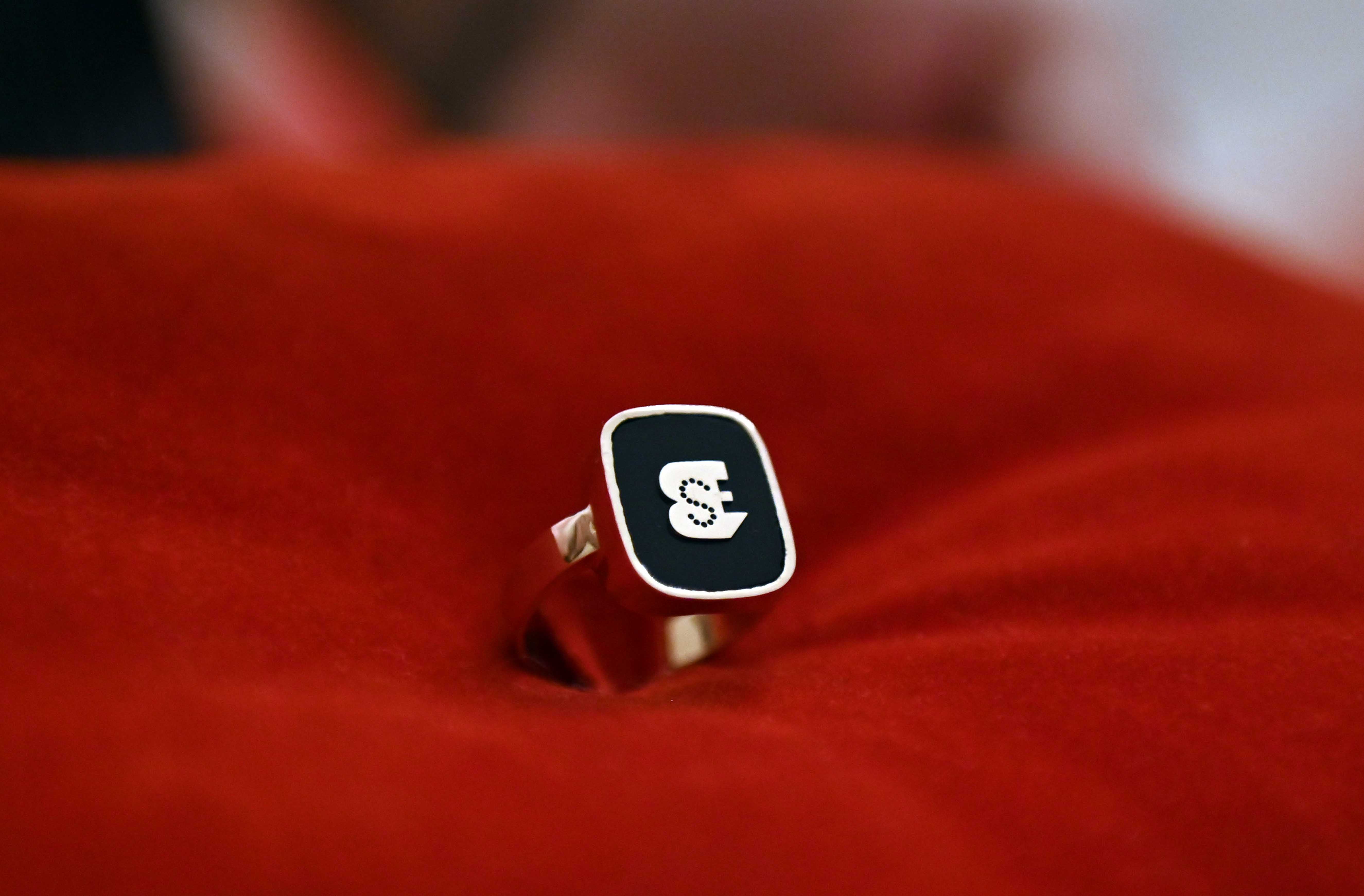 Bortnikovo sreèanje