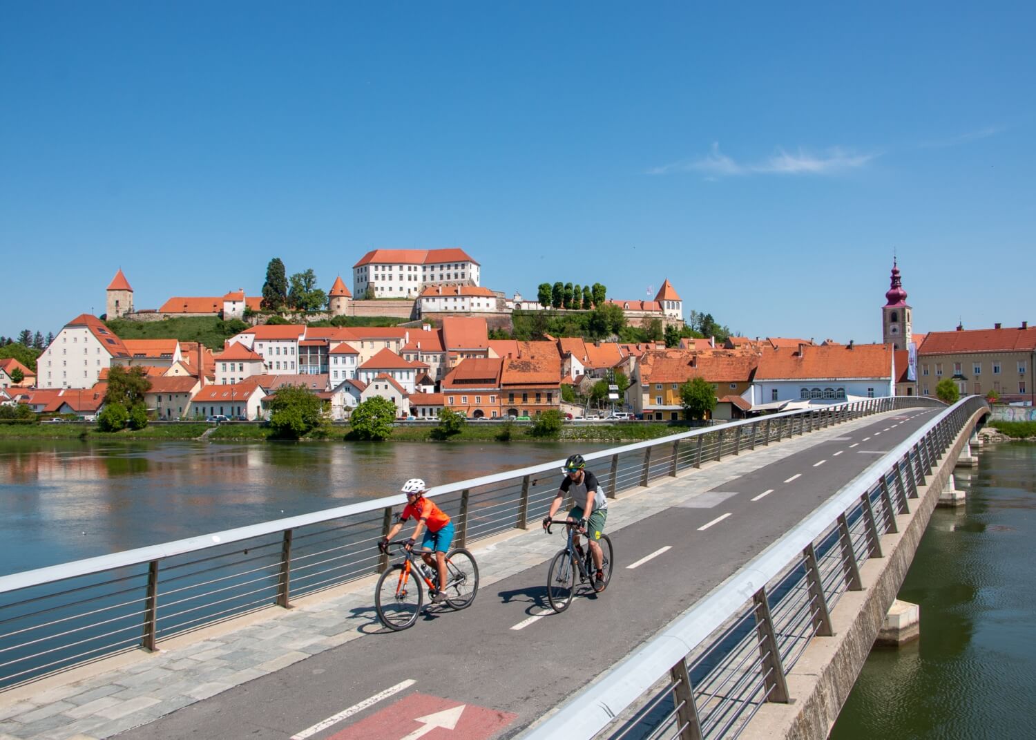 Ptuj, grad
