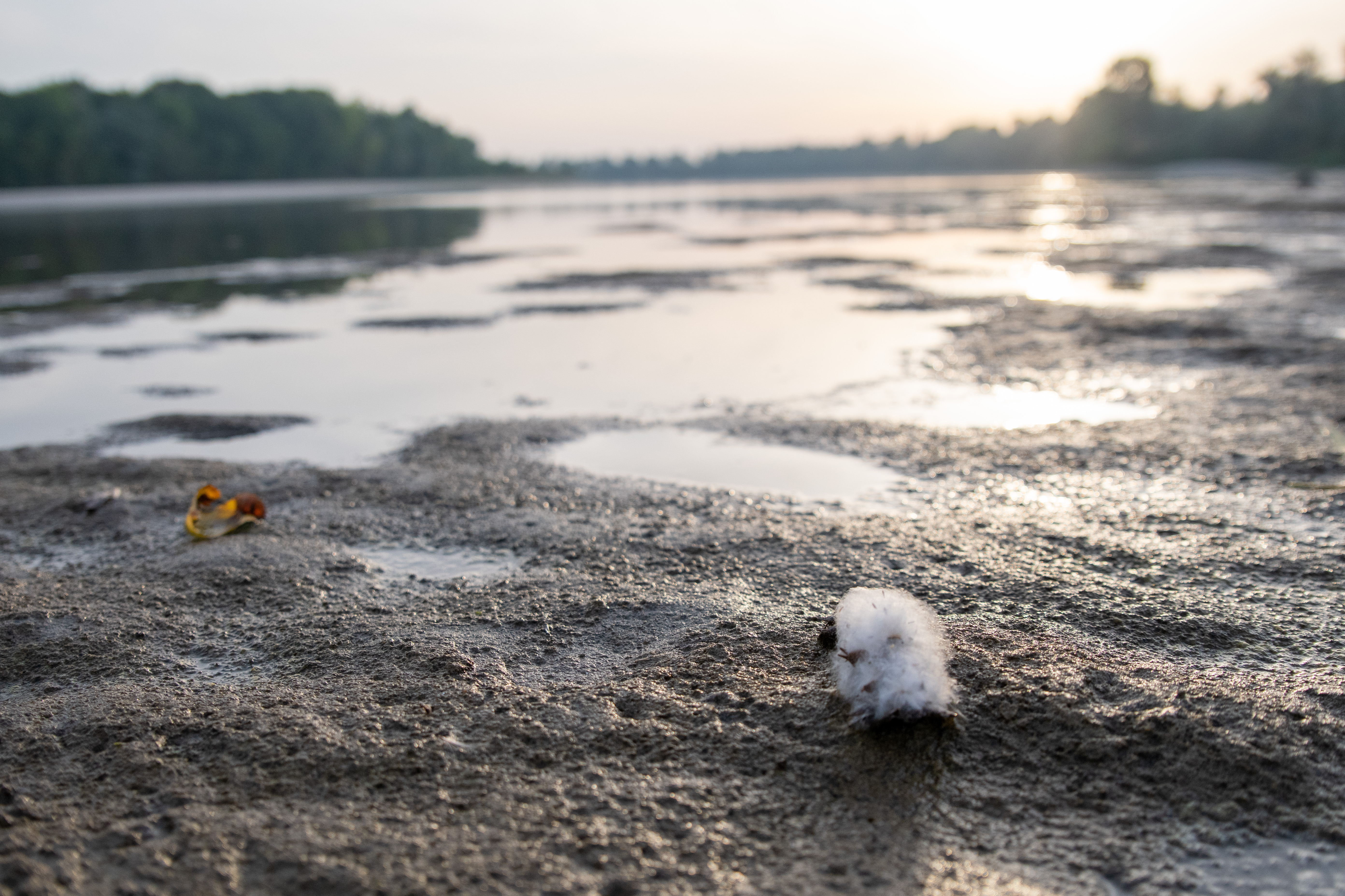 Pesek v presušenem Padu