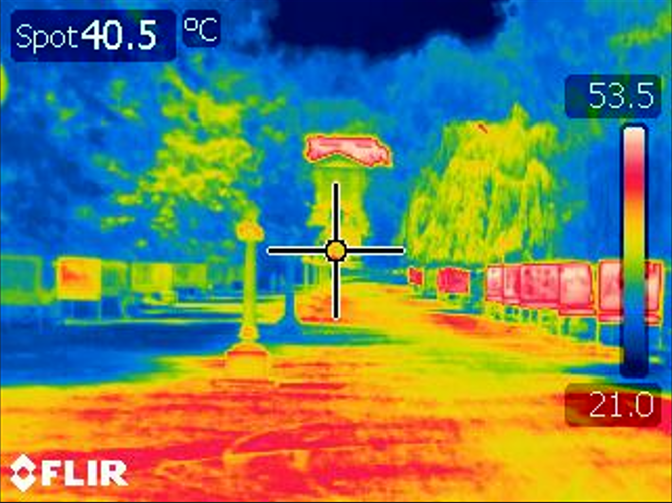 Jakopičevo sprehajališče v Tivoliju (Staš Zgonik/N1)
