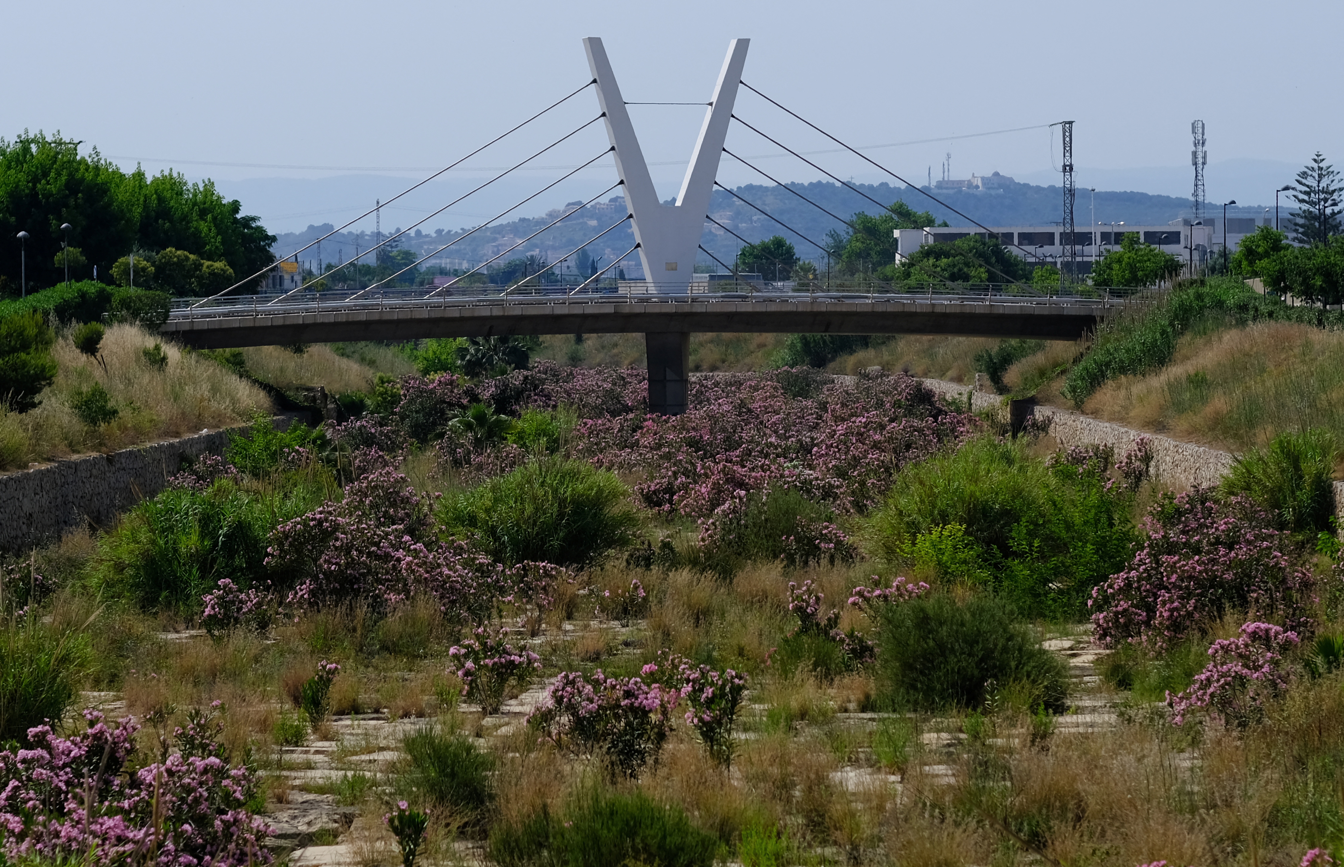 reka cervol, vinaros, suša, španija