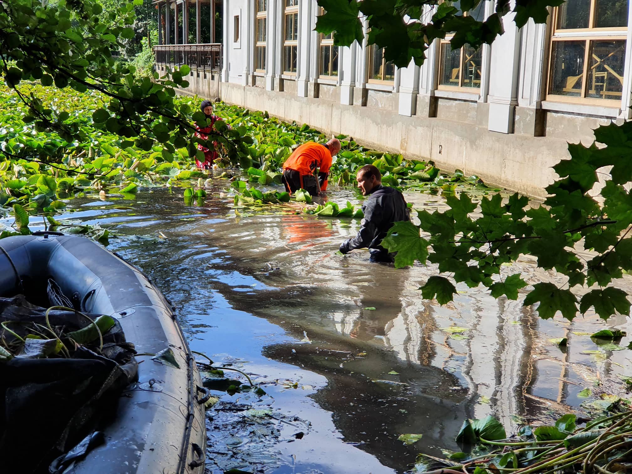 Čiščenje ribnika tovoli