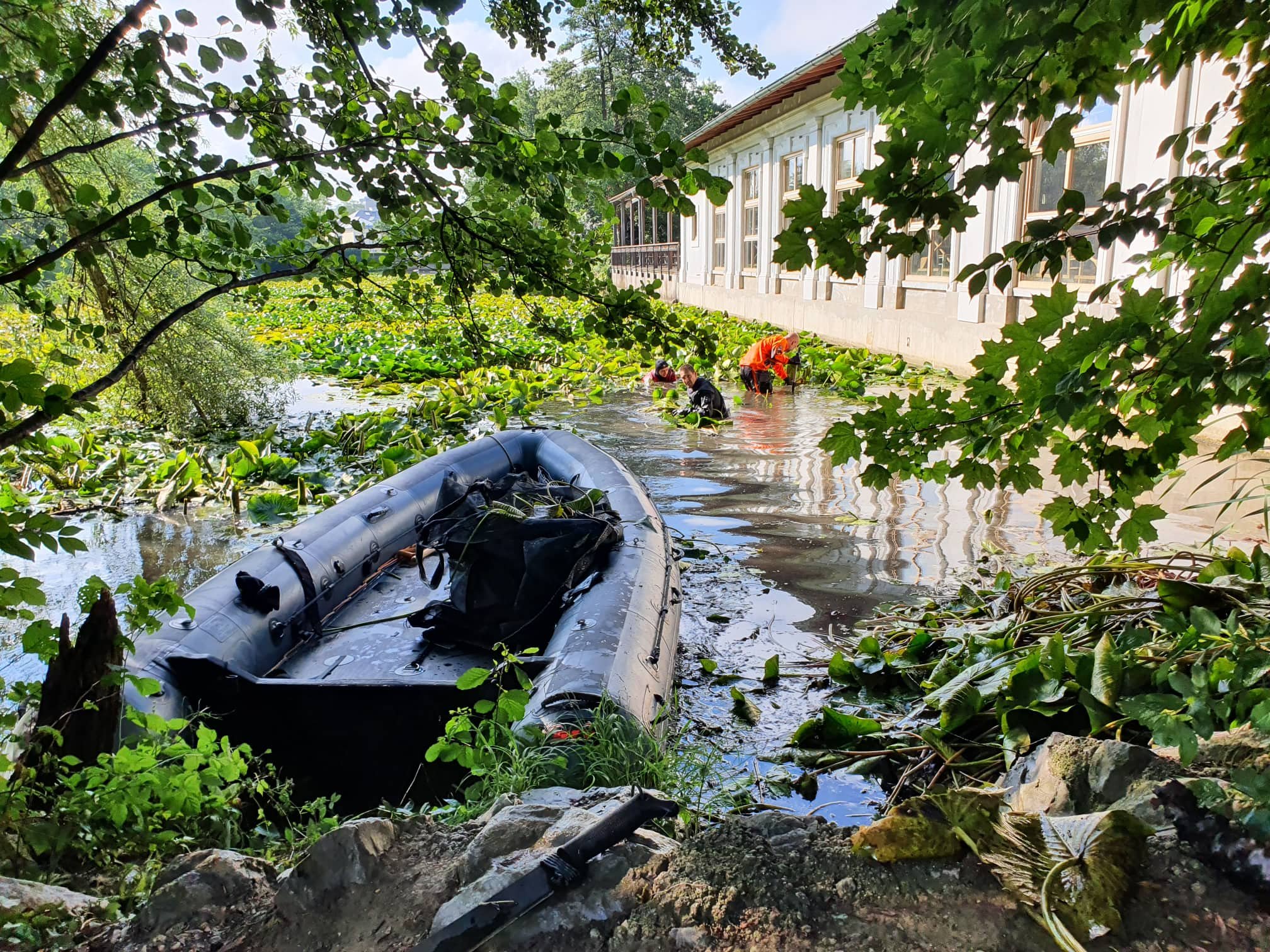 Čiščenje ribnika tovoli