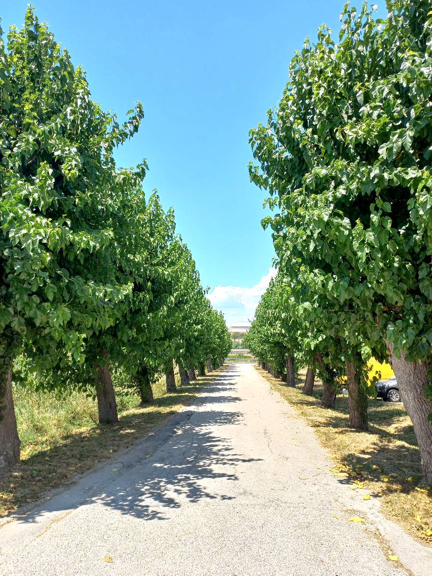 -6467996556917085575