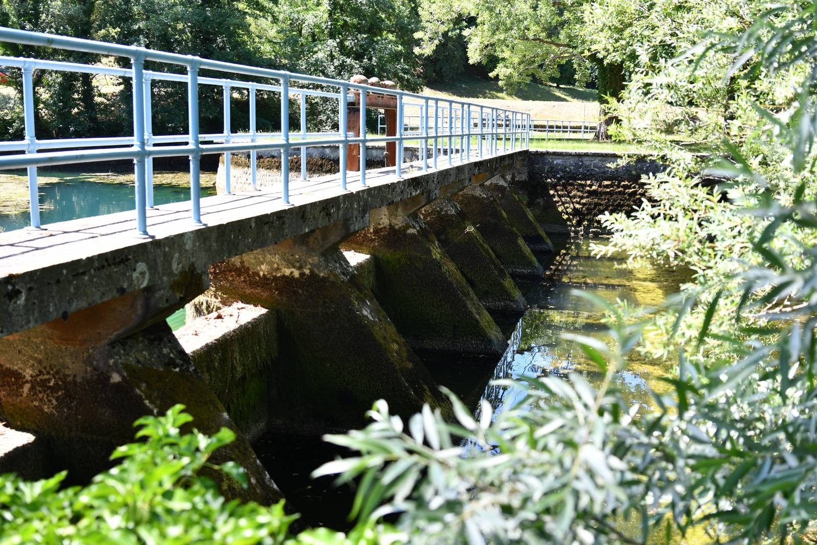 rižanski vodovod rižana