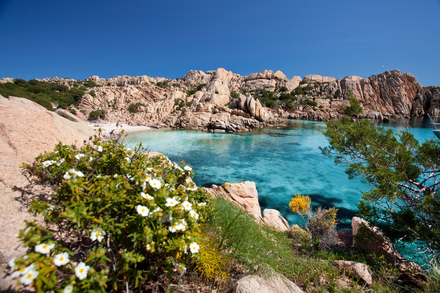 Tahiti beach, Cala Coticcio, Caprera Island, Arcipelago della Maddalena National Park, La Maddalena, Sardinia, Italy, Europe