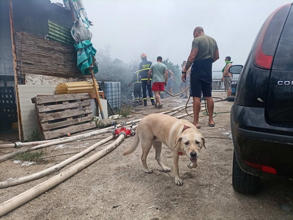 Dejan Štifanić/GlasIstre