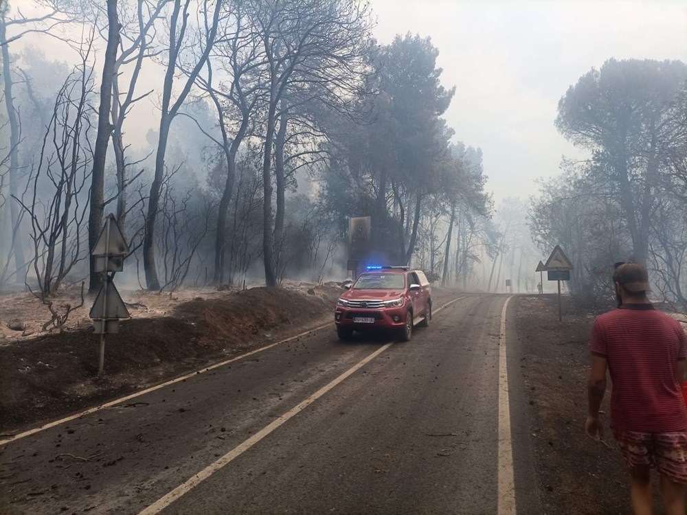 Dejan Štifanić/GlasIstre