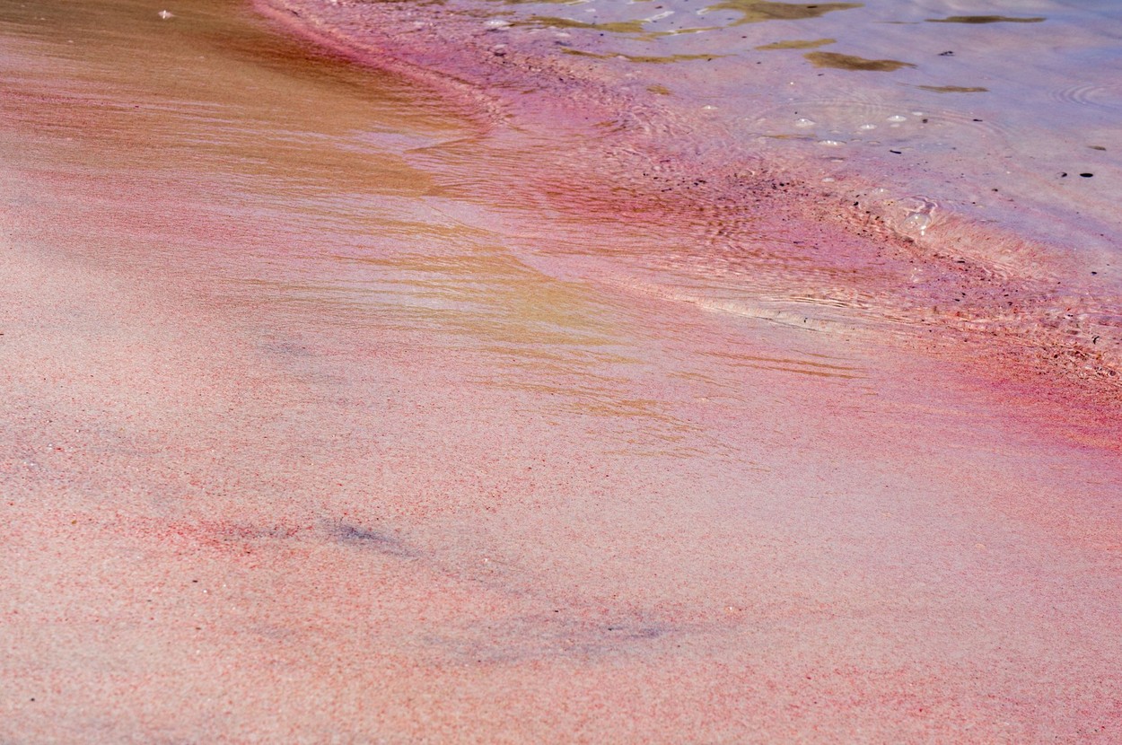 Komodo, Indonezija, roza plaža