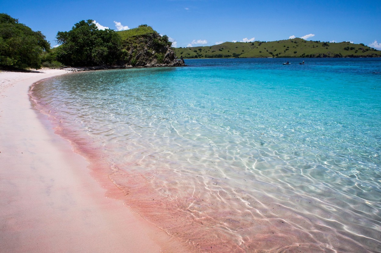 Komodo, Indonezija, roza plaža