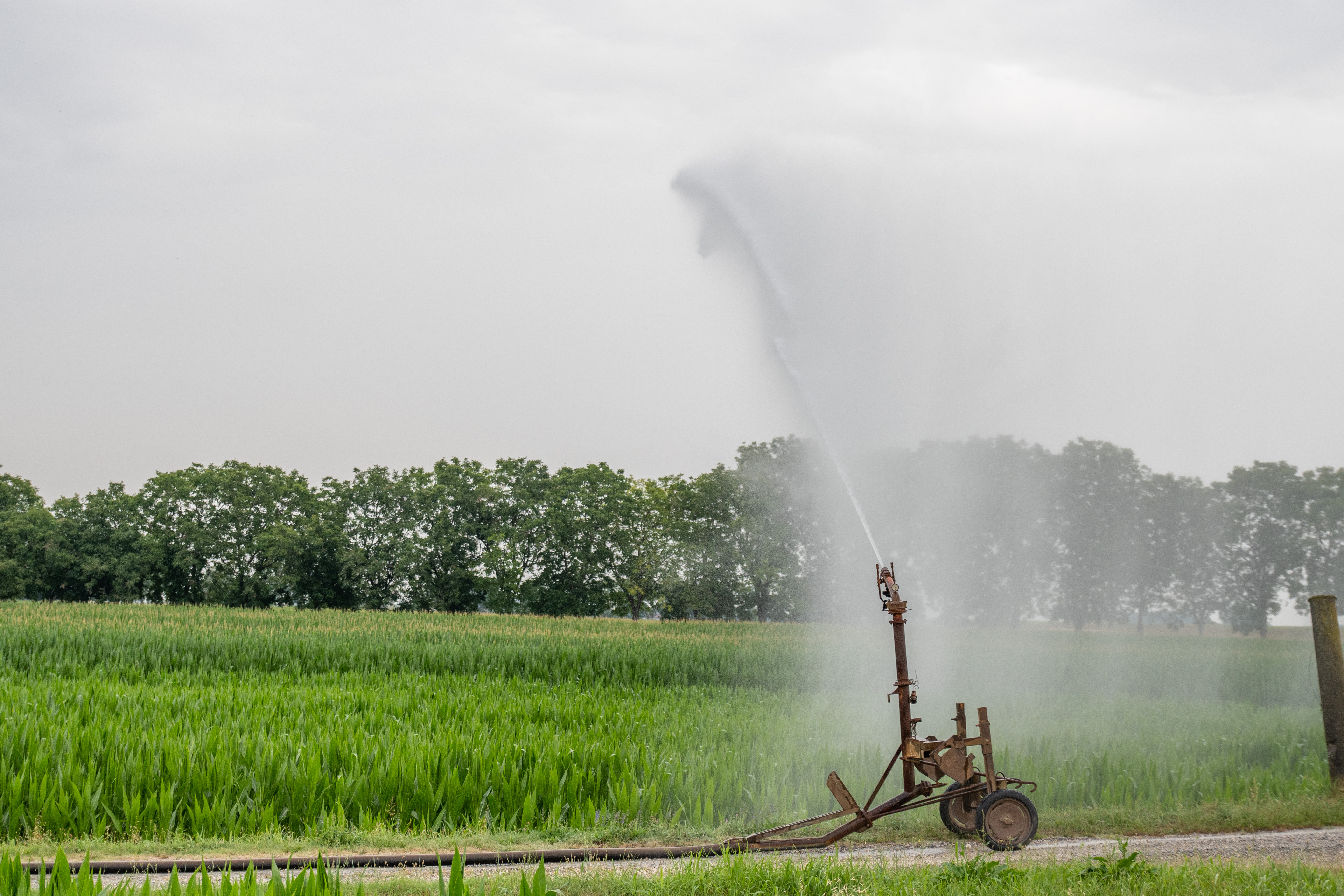 namakanje, kmetijstvo, padska nižina