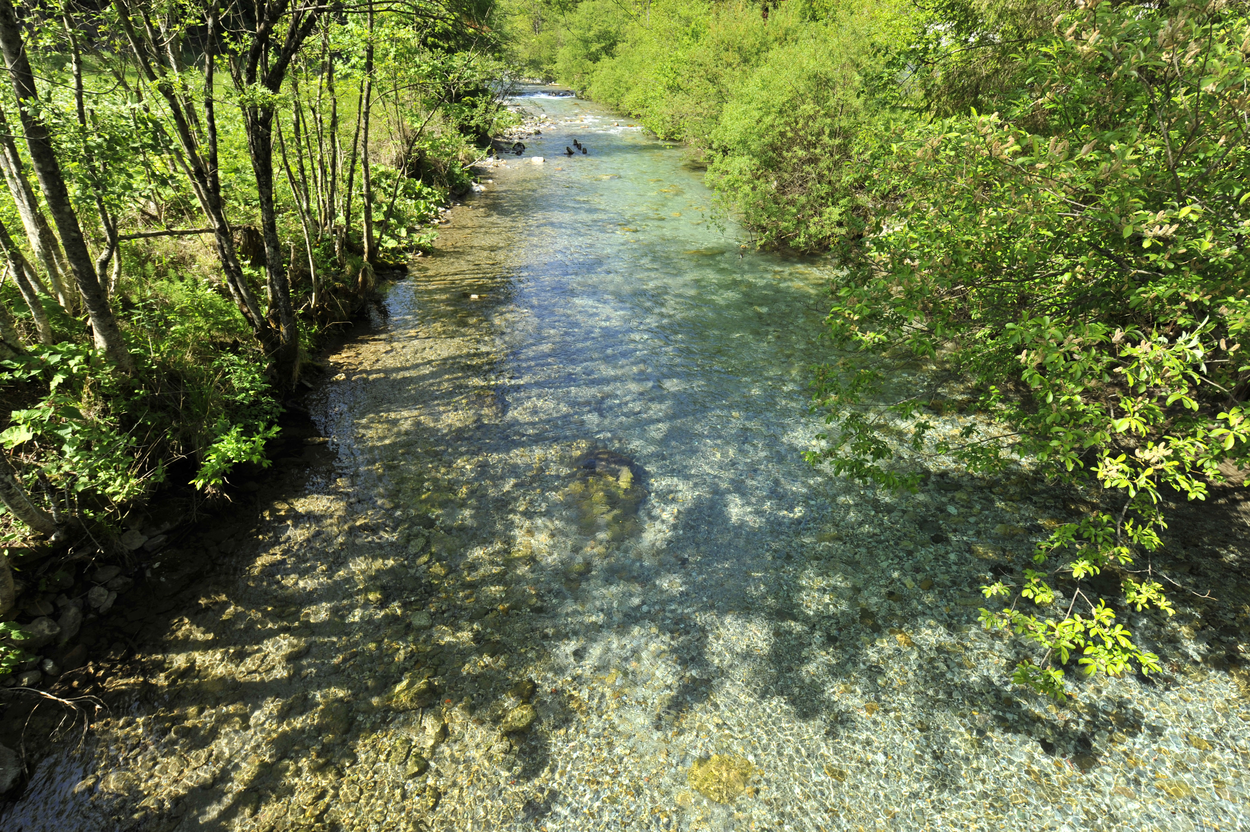 REKA KOKRA SLOVENSKE REKE NARAVA STRUGA