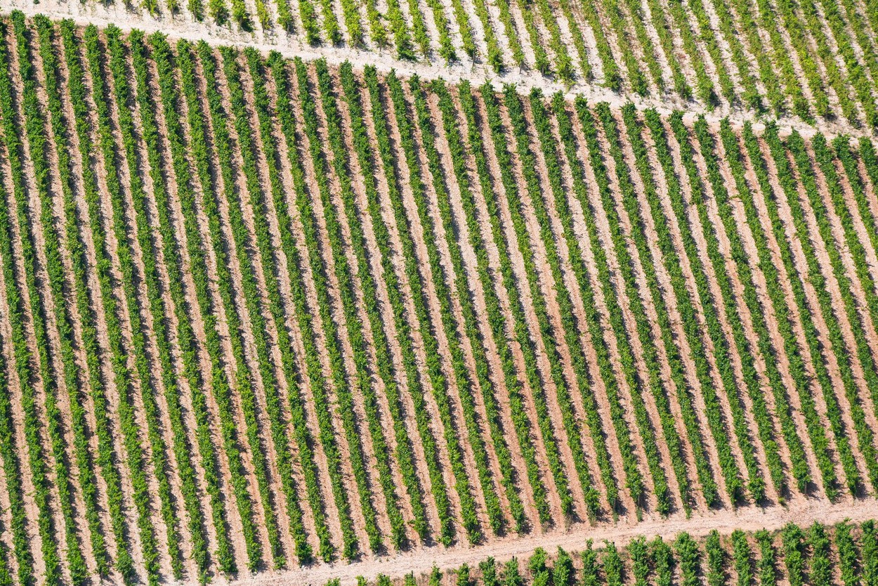 kmetijstvo, kmetijske površine