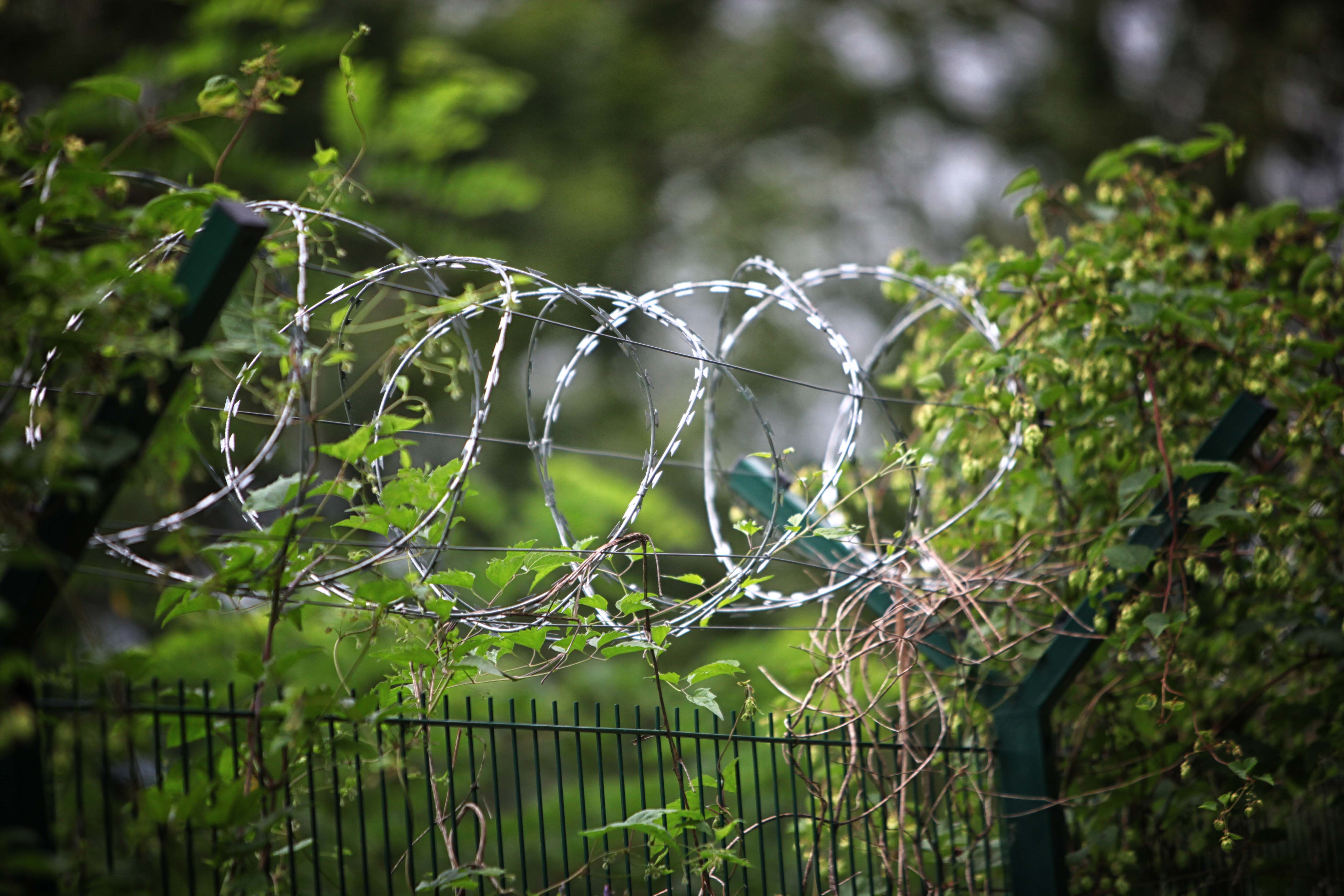 Ograja na meji s Hrvako