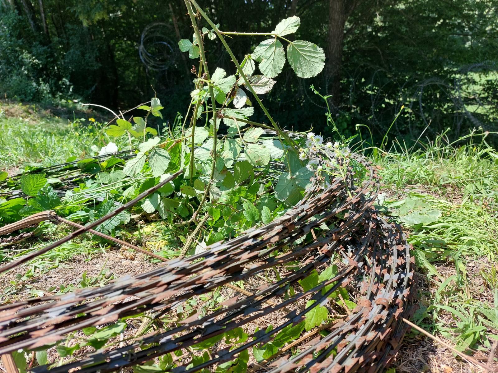 signal-2022-07-15-135225_003