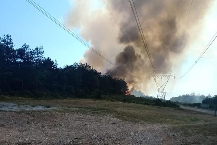 Požar Miren-Kostanjevica