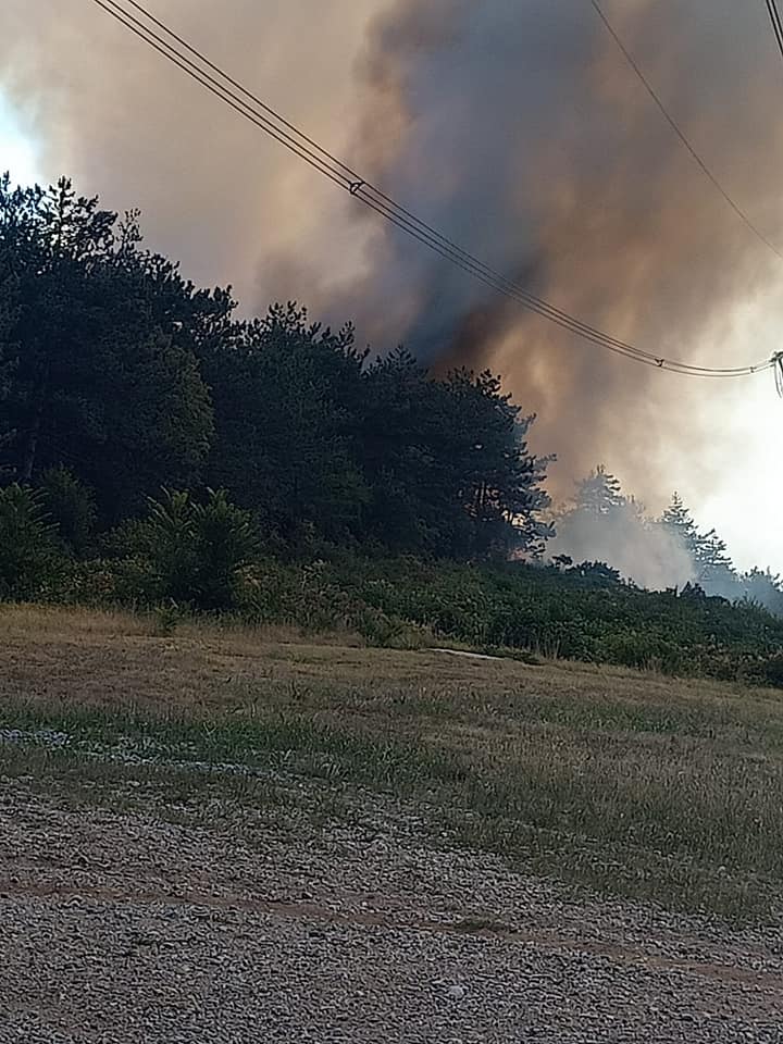 Požar Miren-Kostanjevica