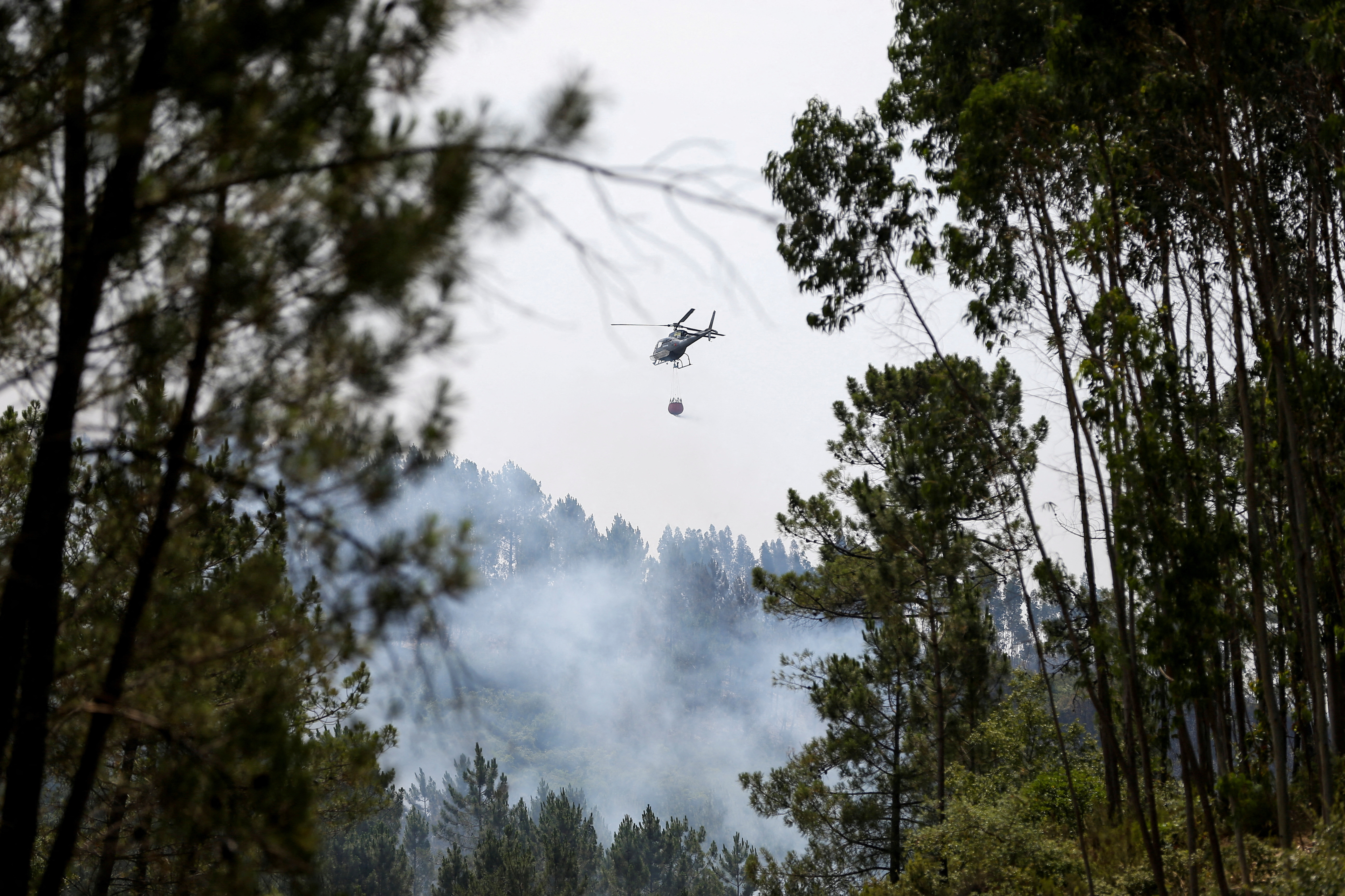 Gozdni požar na Portugalskem