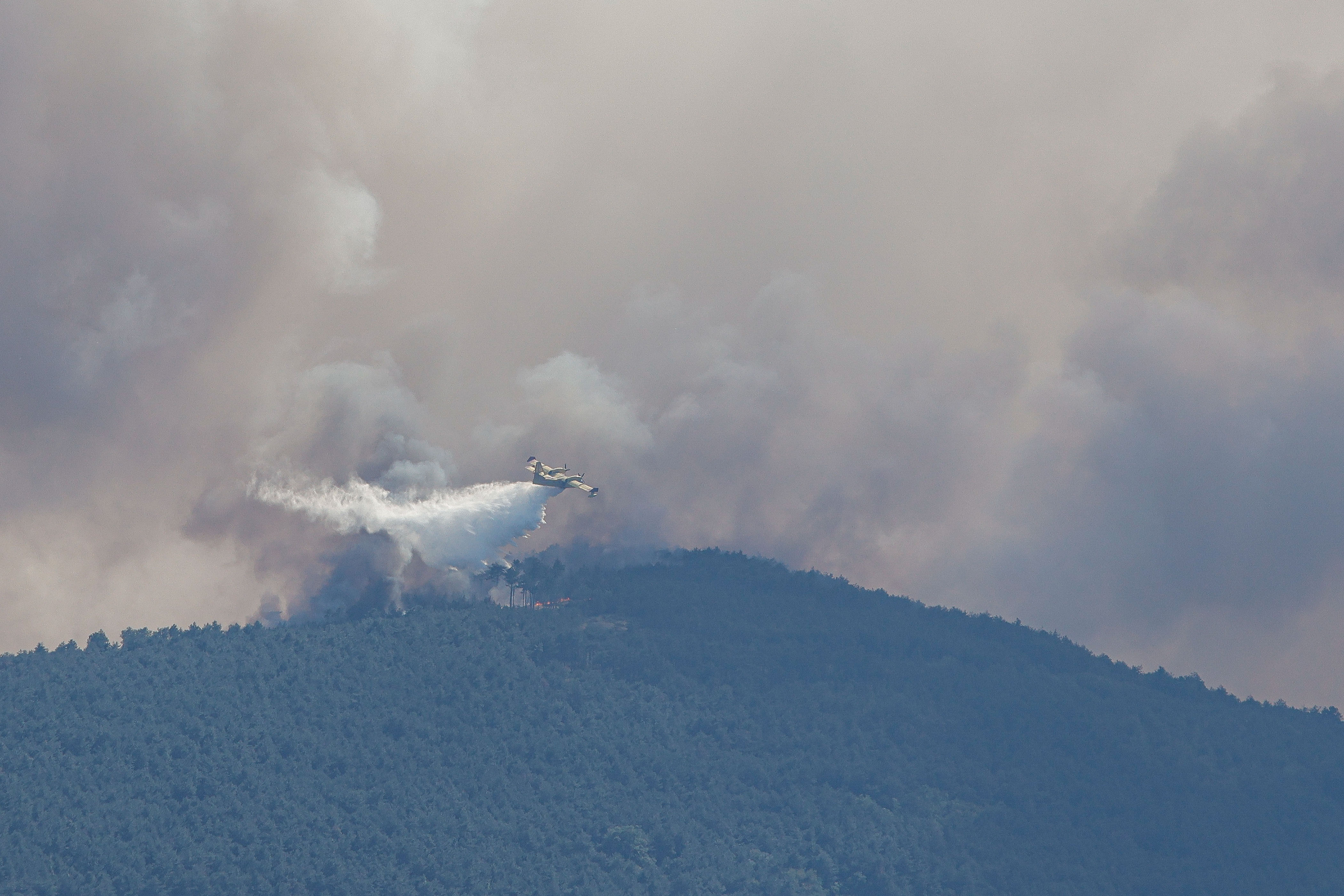 Luka Dakskobler/BOBO
