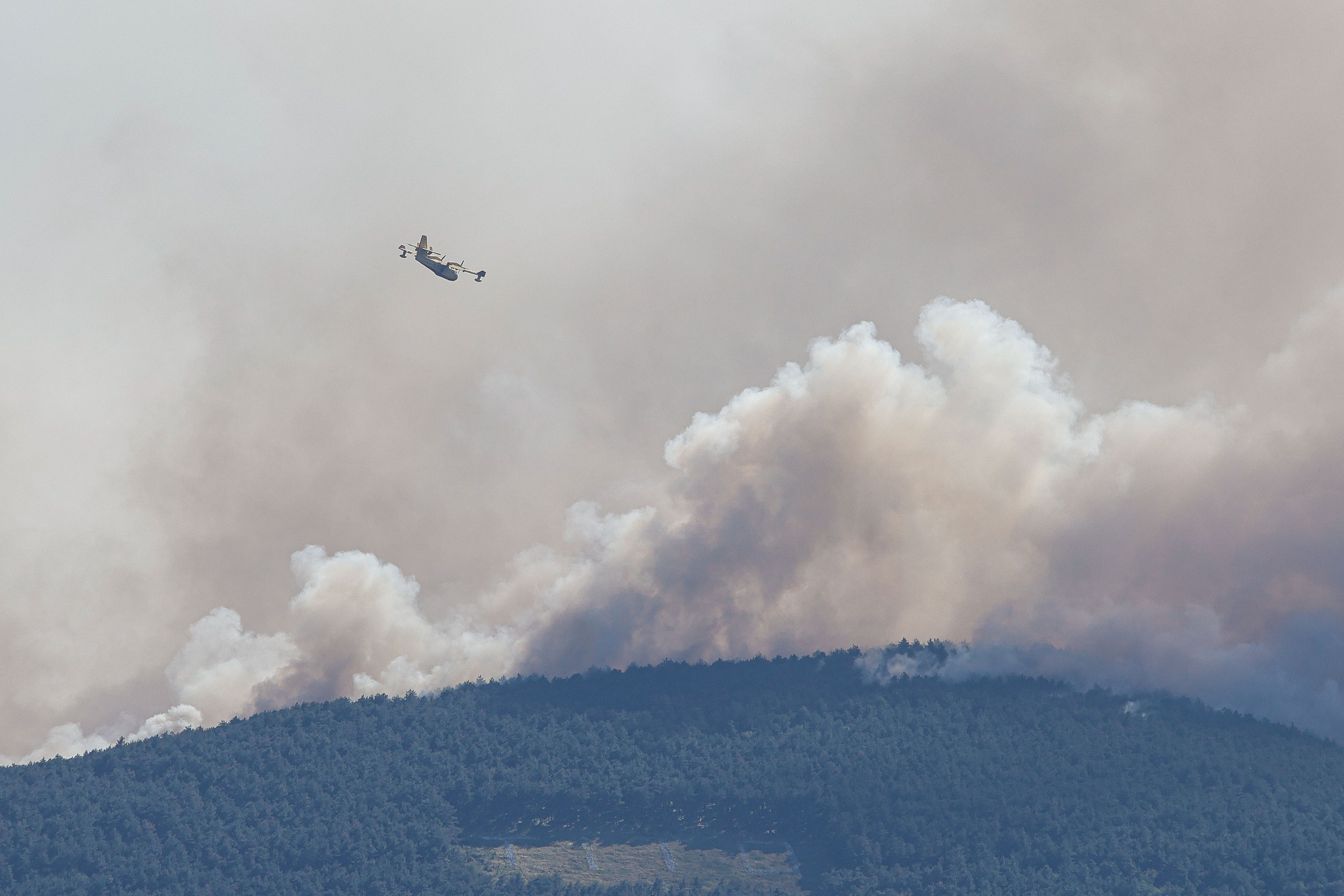 Luka Dakskobler/BOBO