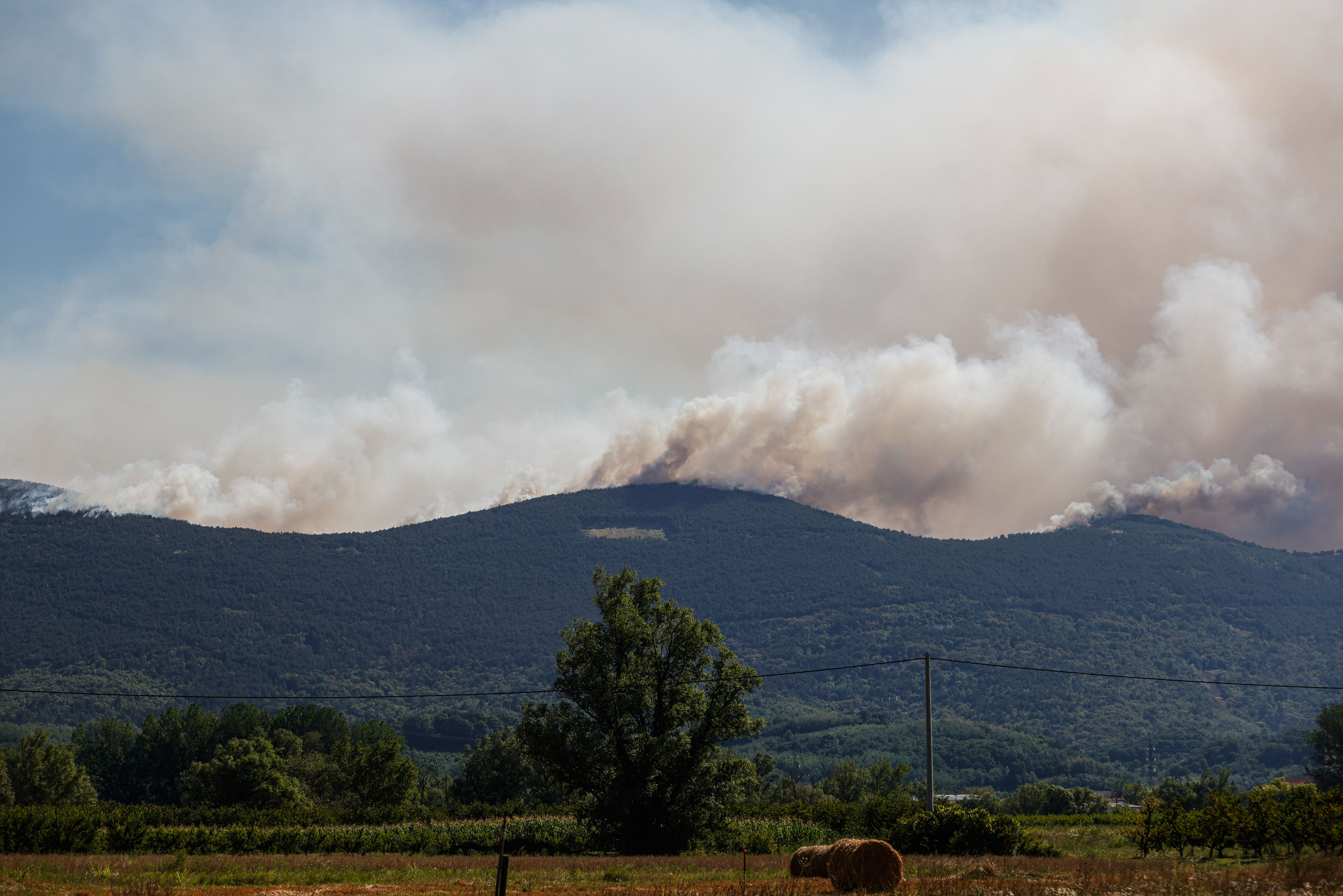 Luka Dakskobler/BOBO