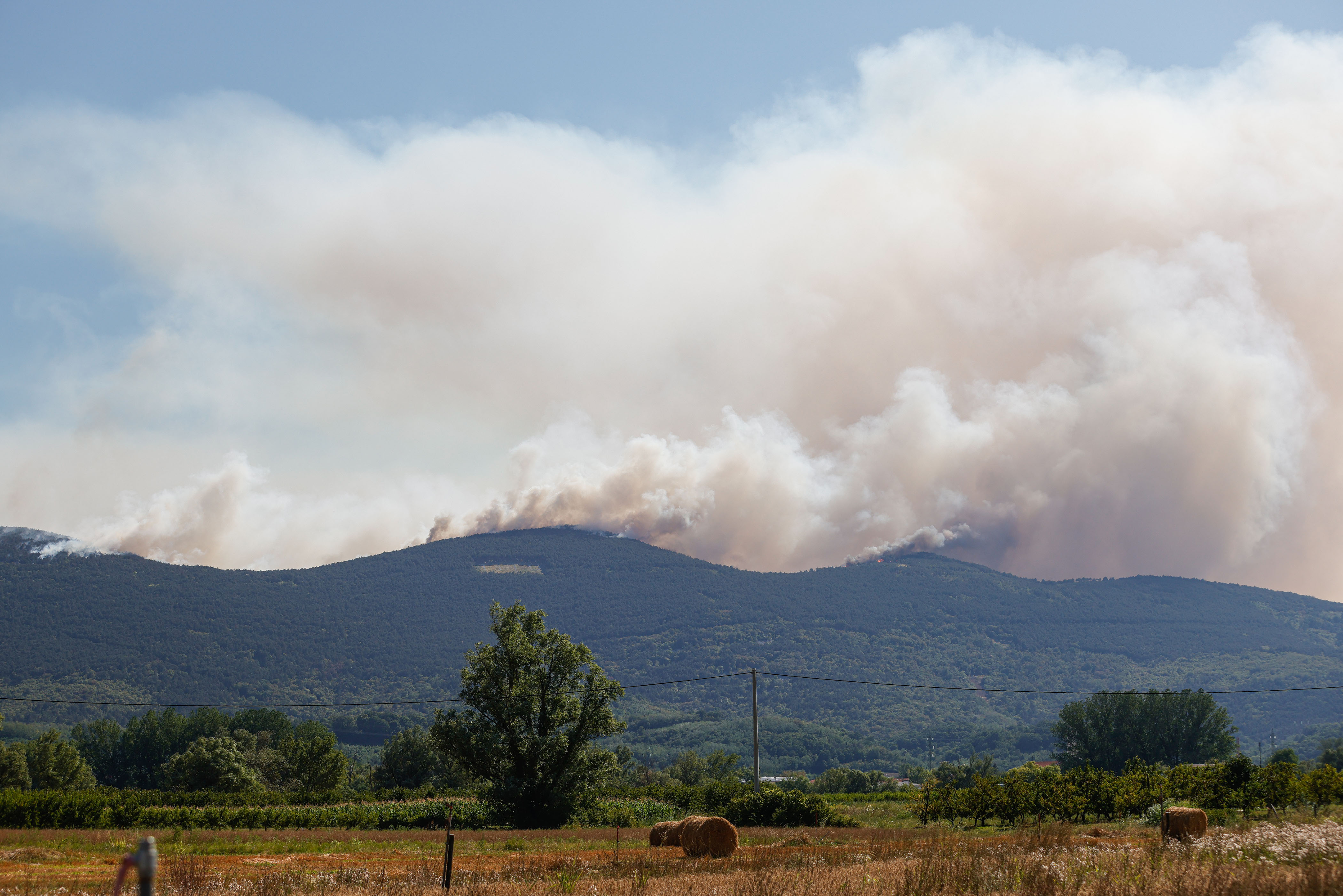 Luka Dakskobler/BOBO