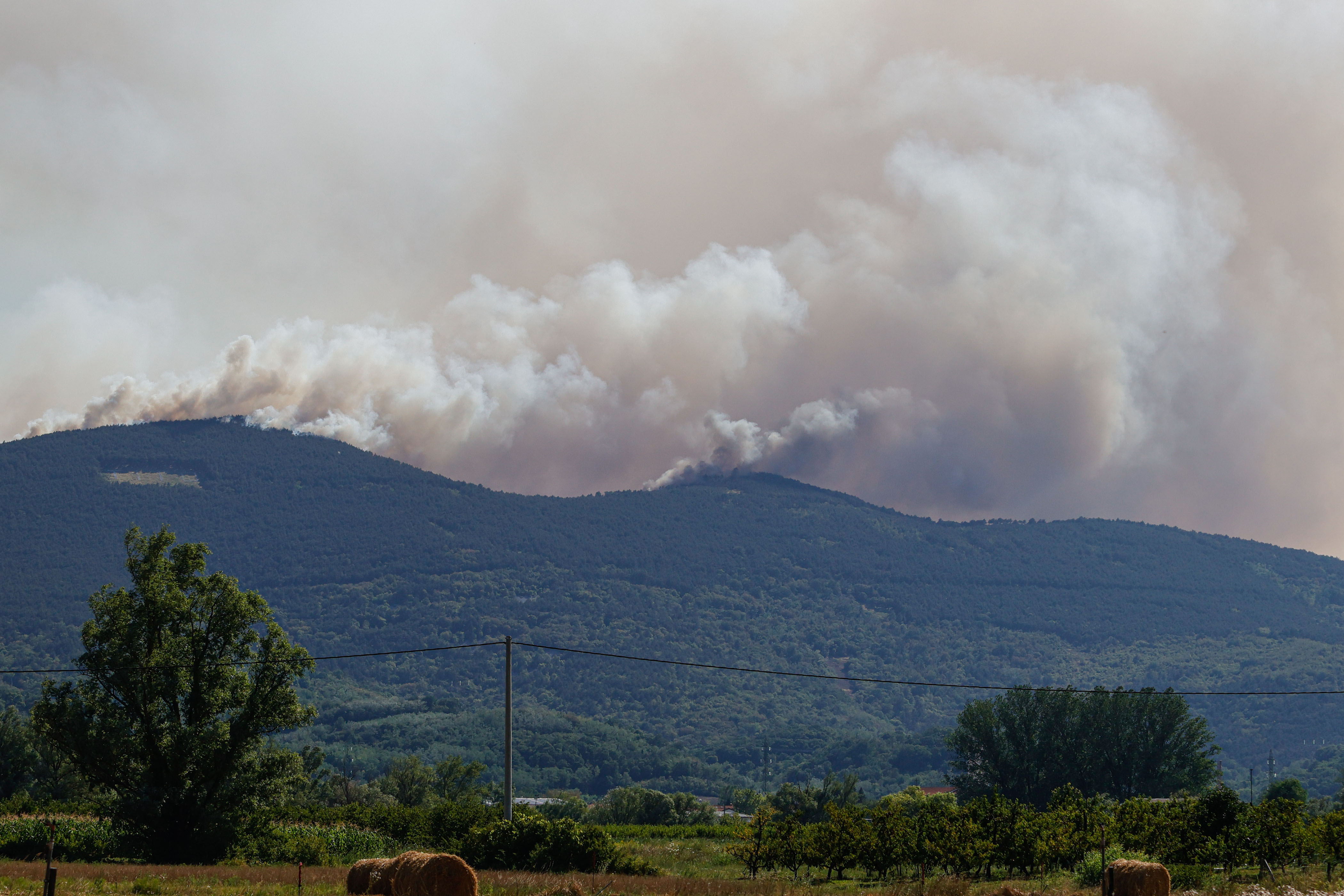 Požar Miren Kostanjevica