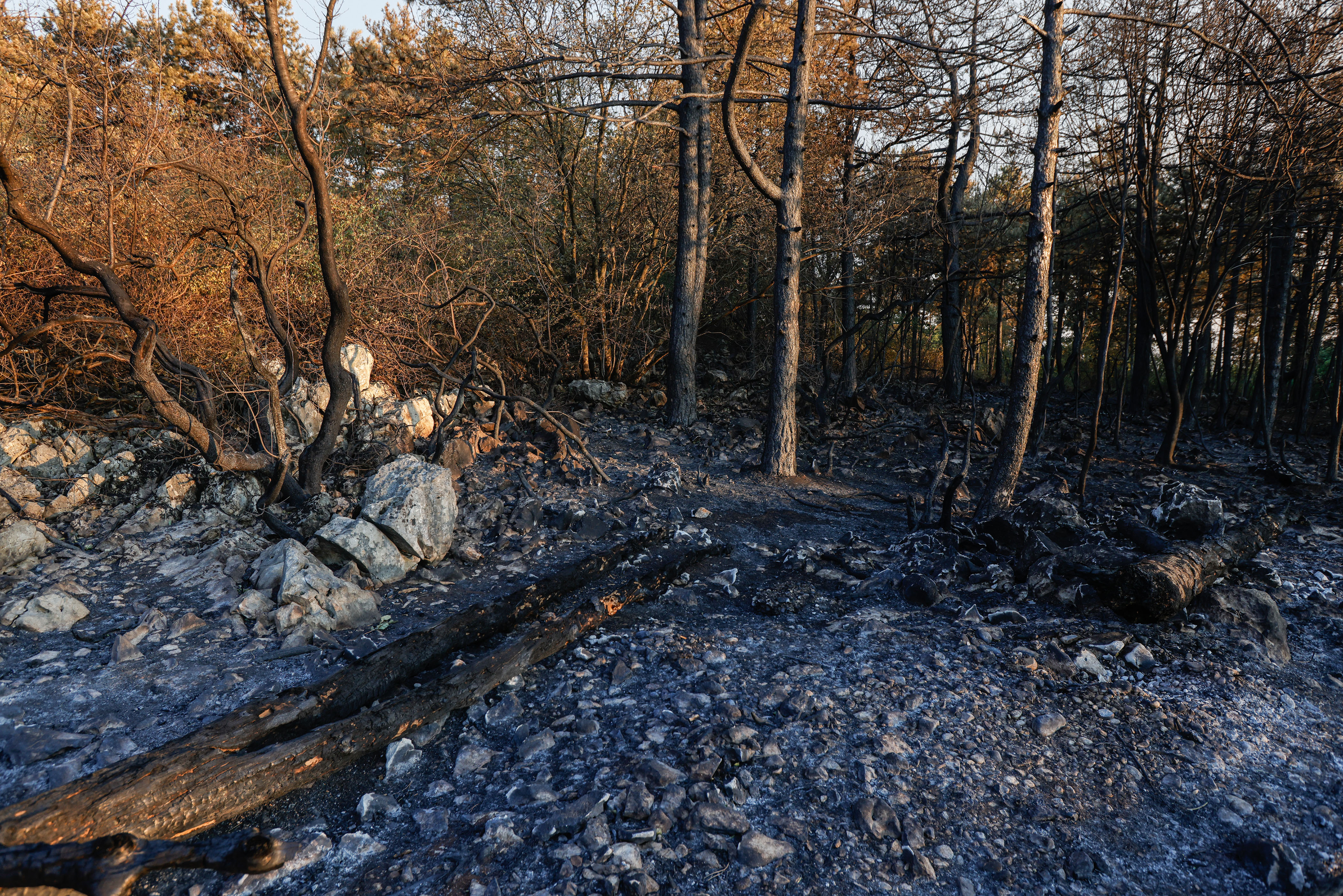 Luka Dakskobler/BOBO