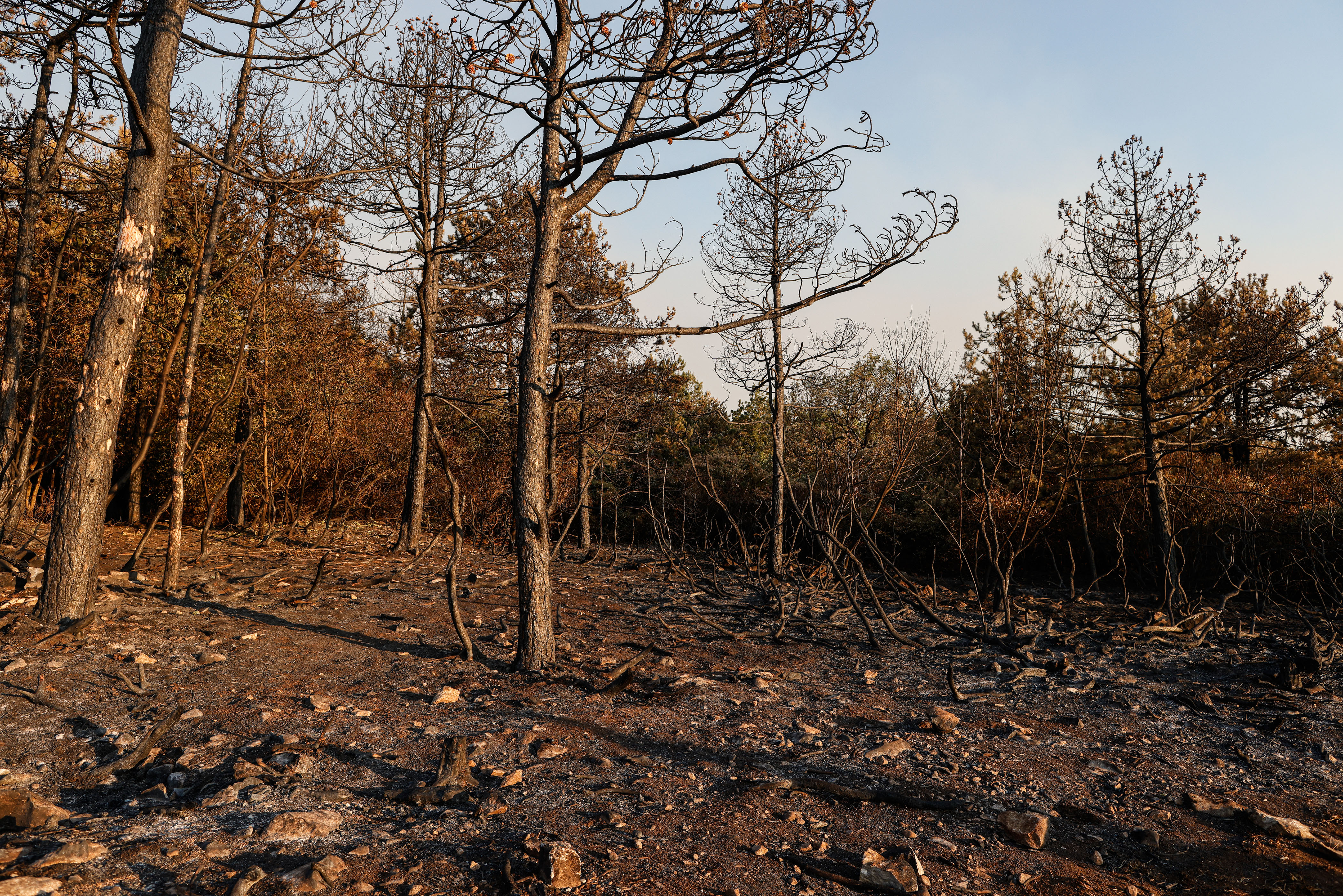Luka Dakskobler/BOBO