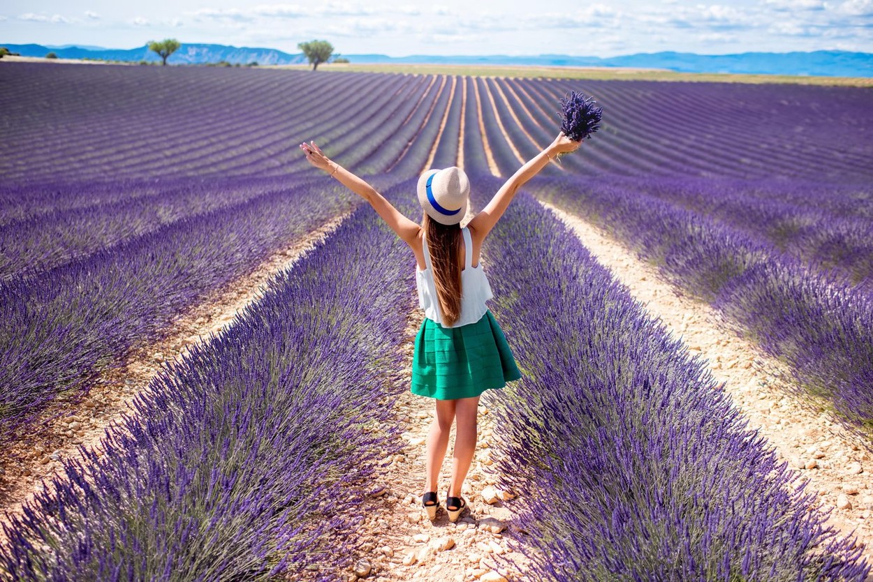 ženska, polje sivke
