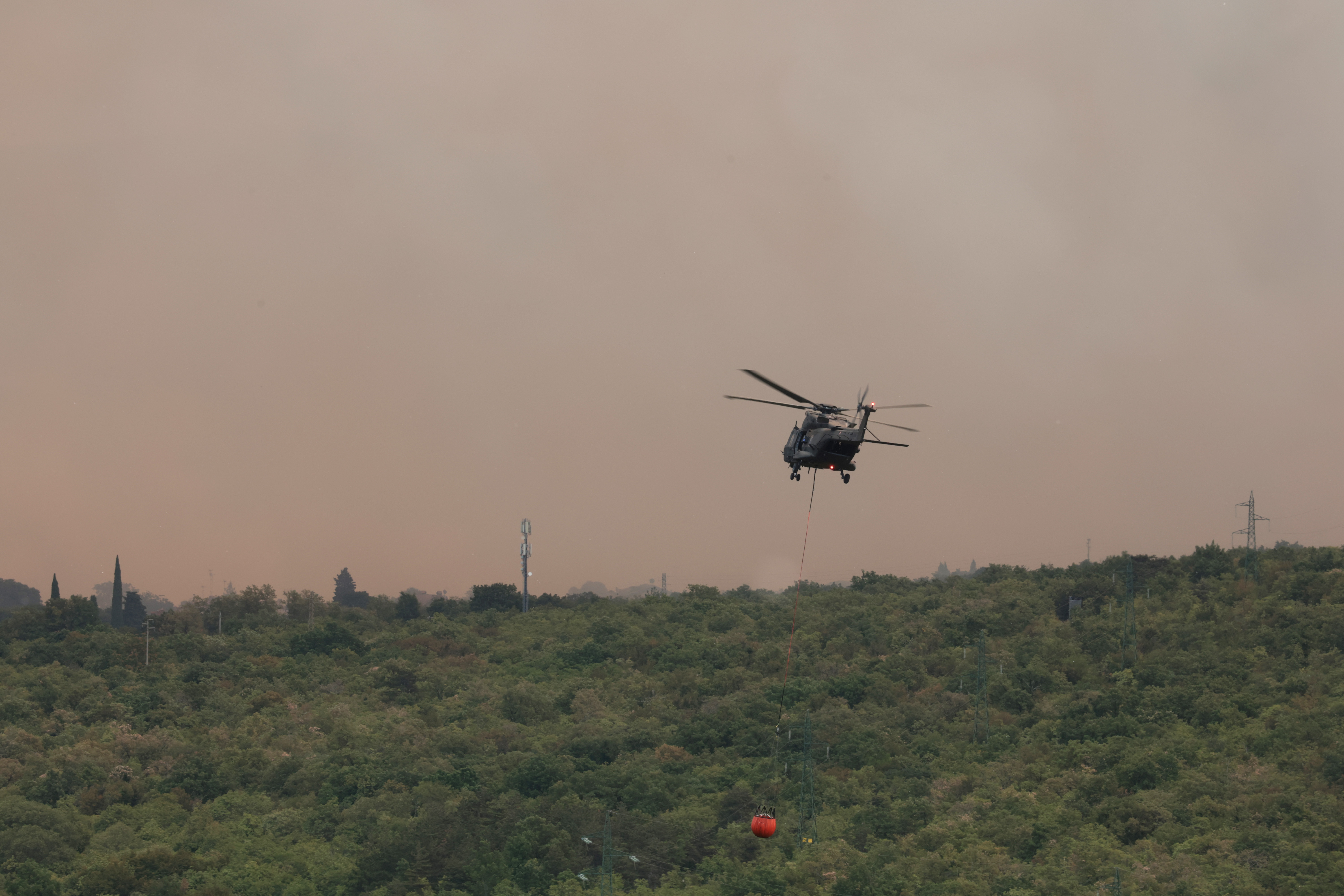 Borut Živulović/BOBO