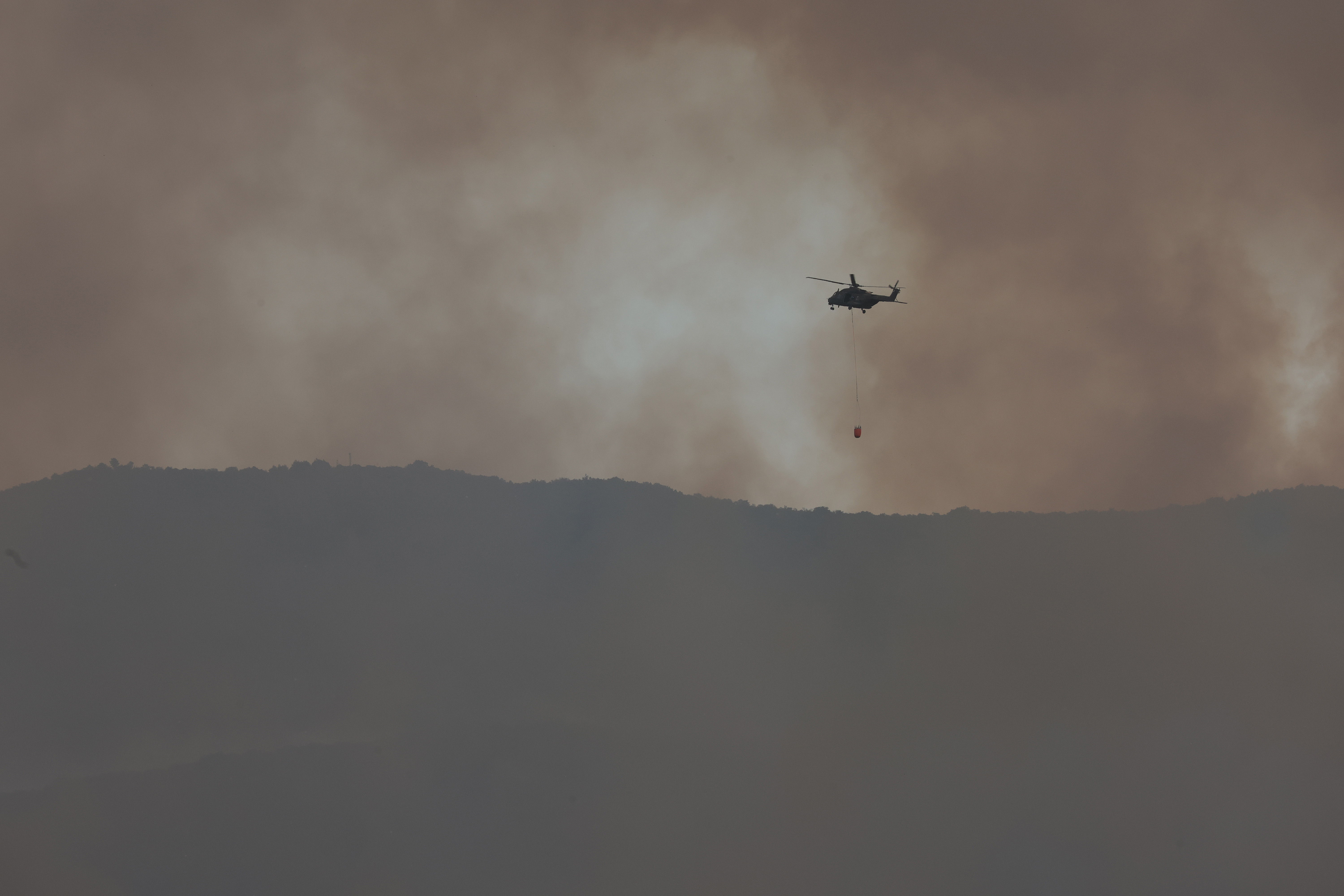 Borut Živulović/BOBO