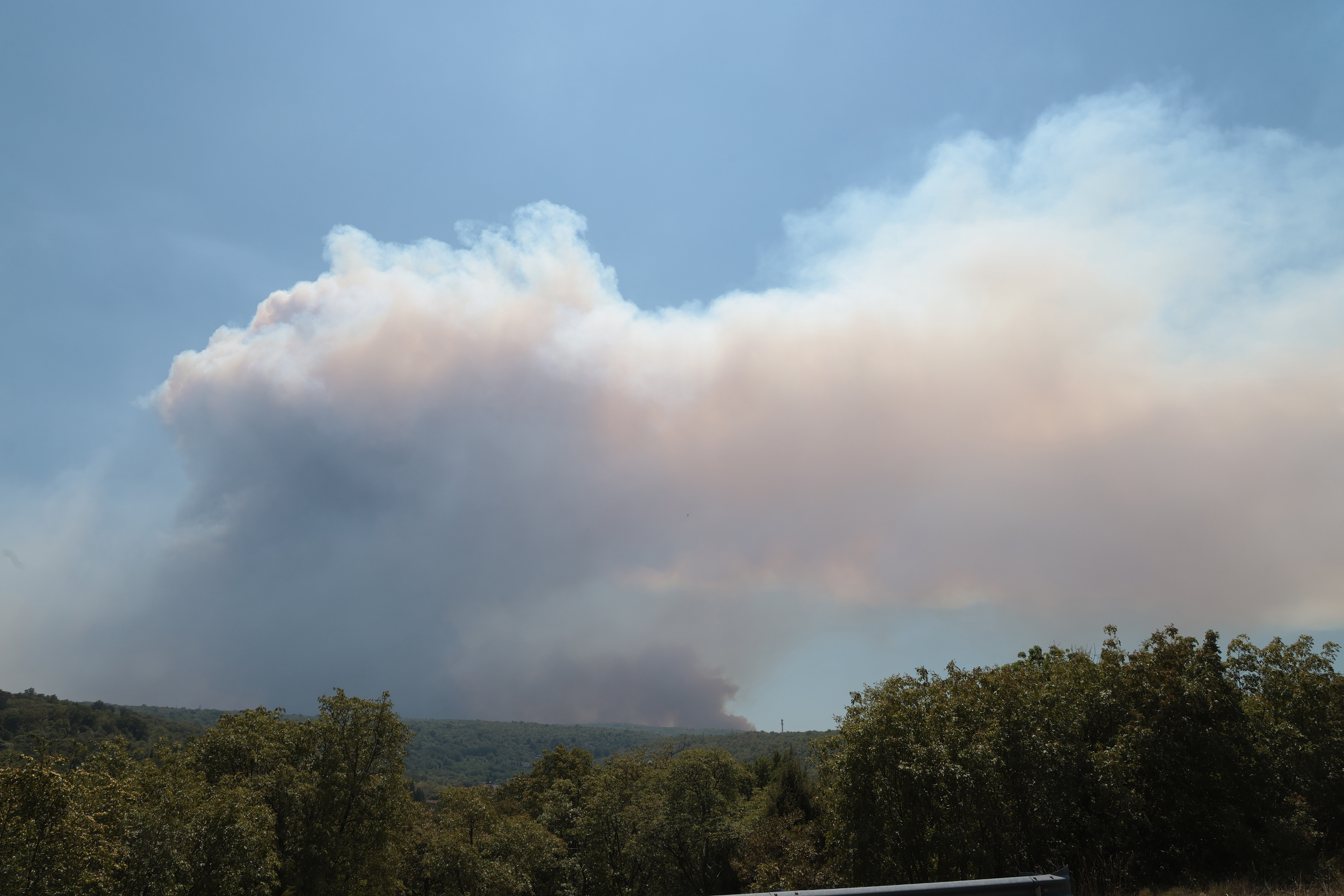 Borut Živulović/BOBO